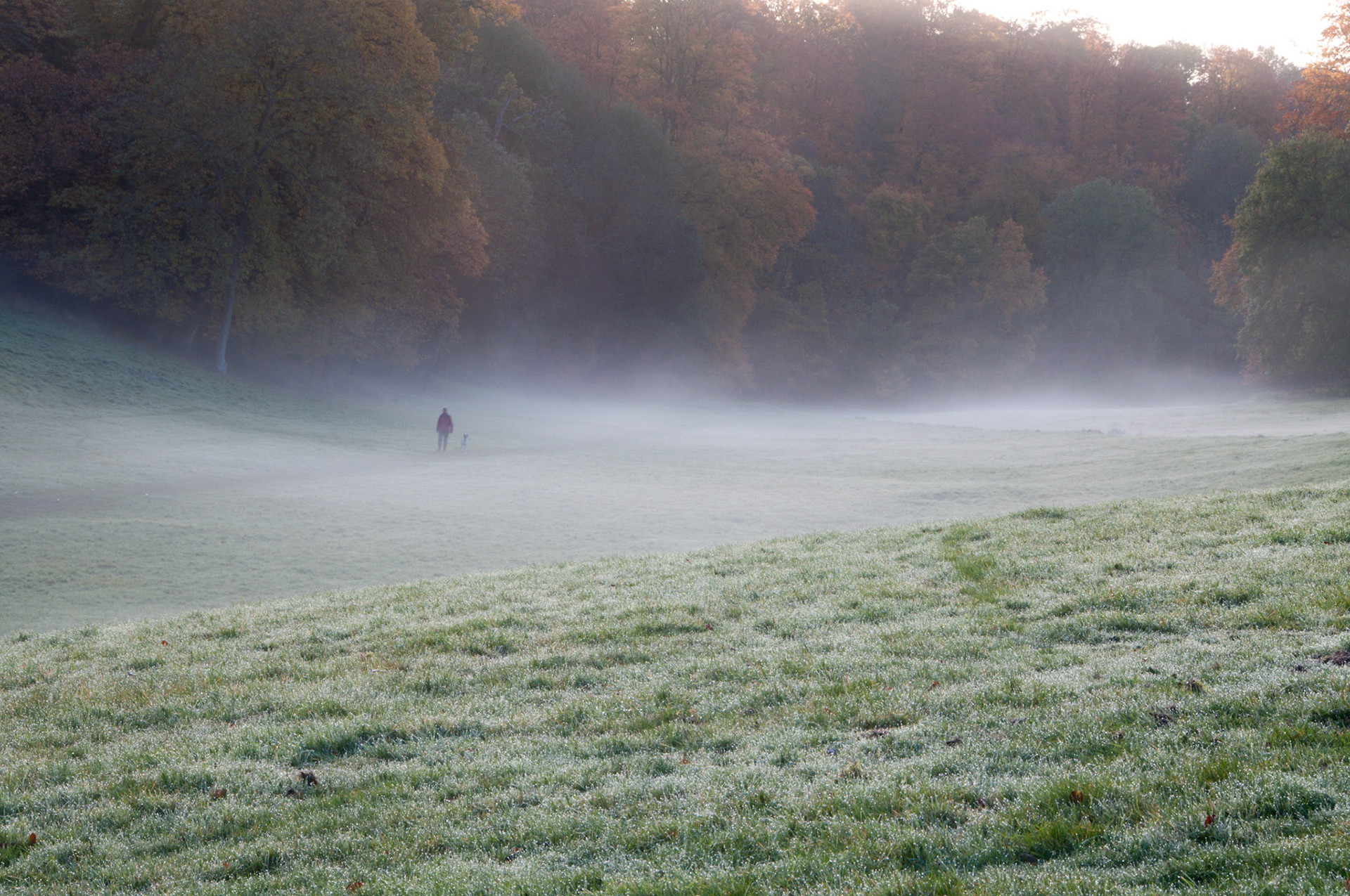 Ashridge Golden Valley, 2010