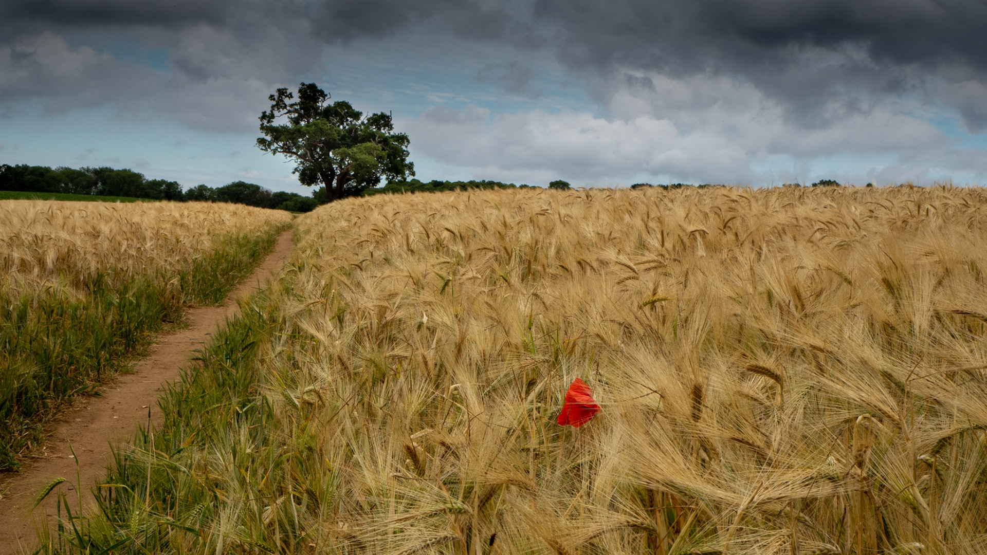 Fynn Valley Suffolk