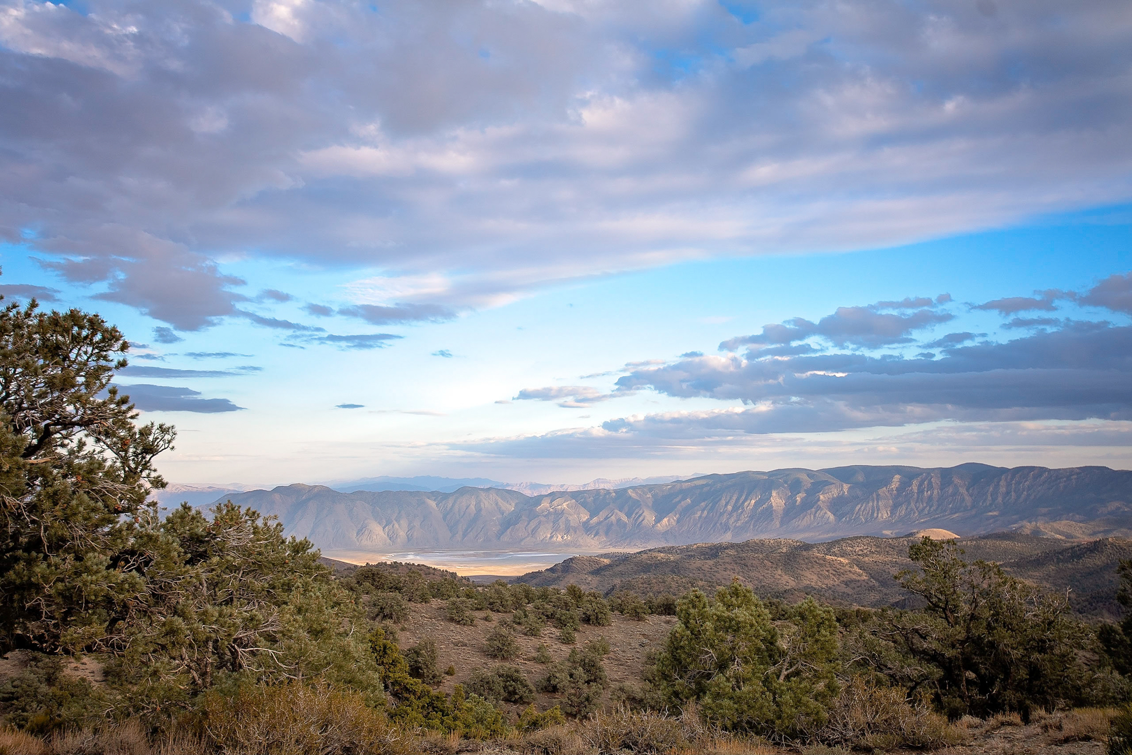 Inyo National Forest