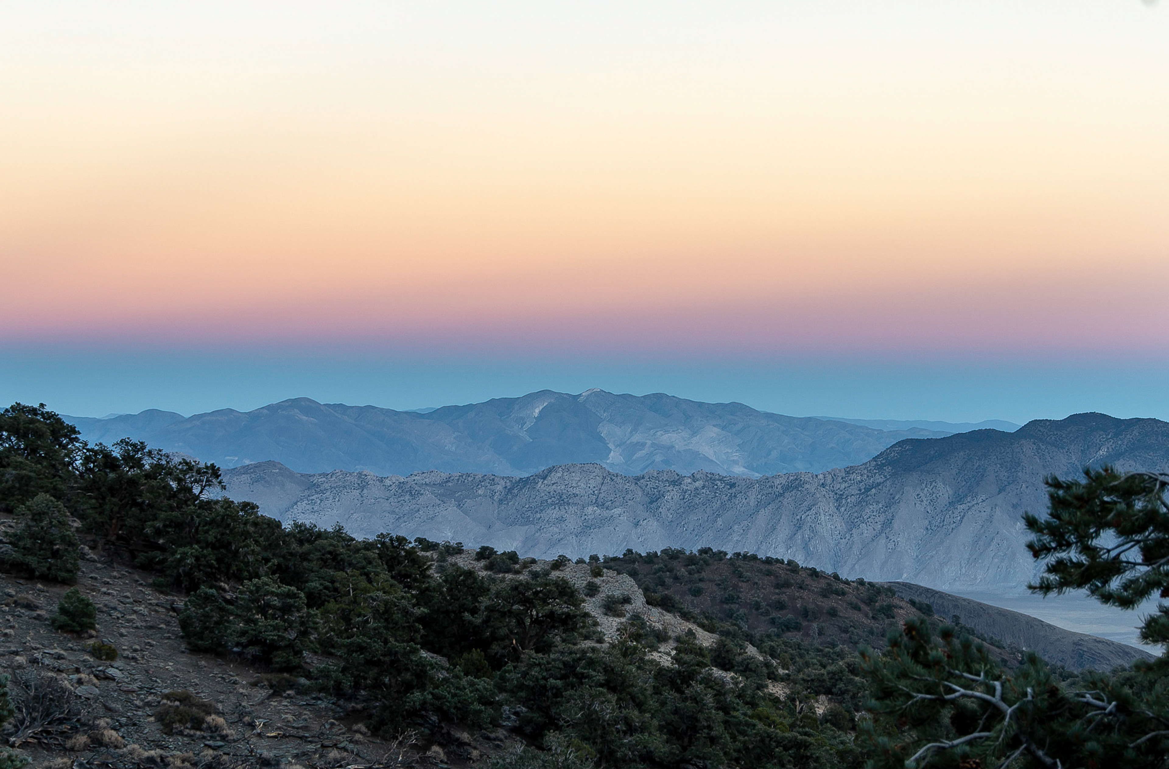 Inyo National Forest