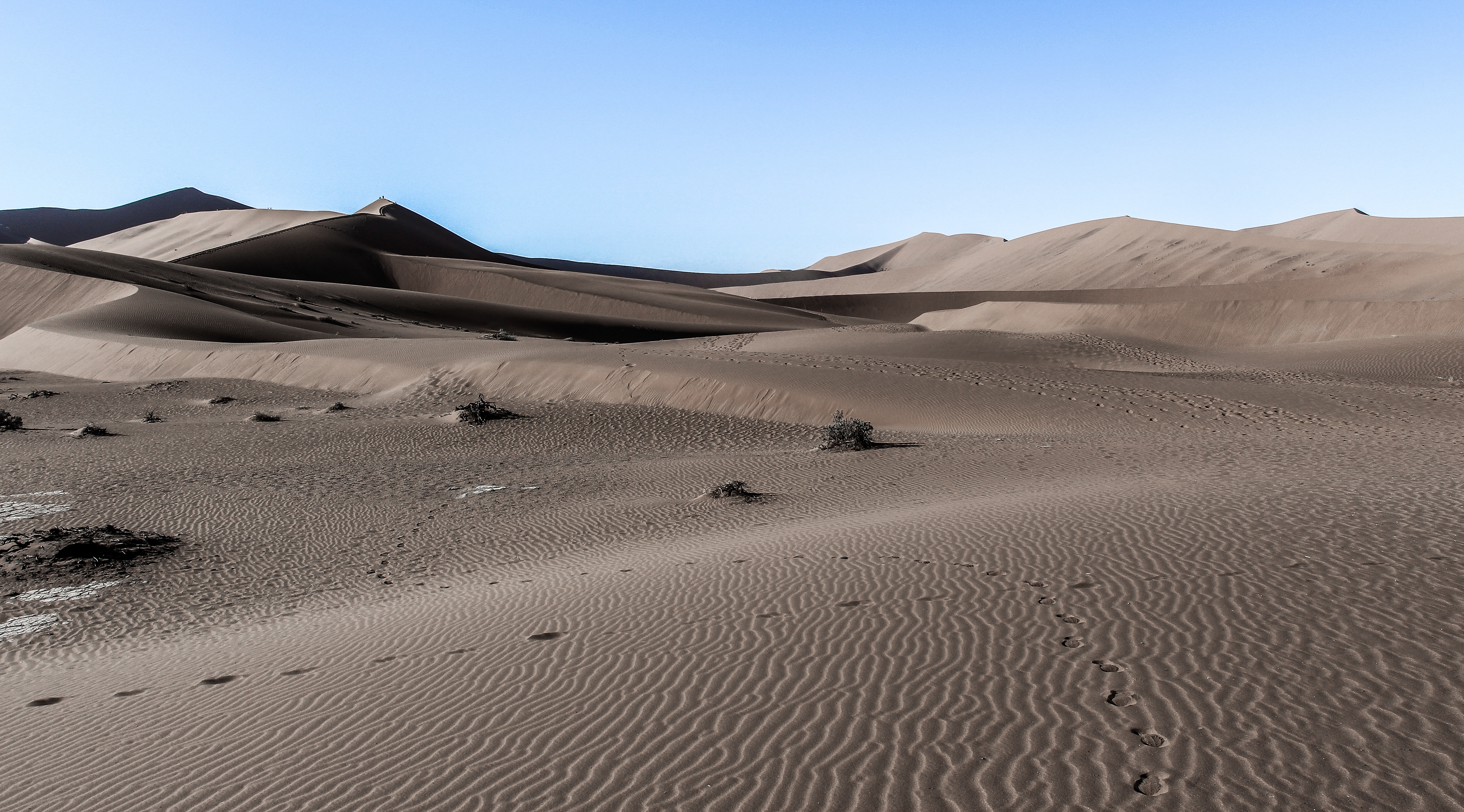 Namid Desert, Namibia