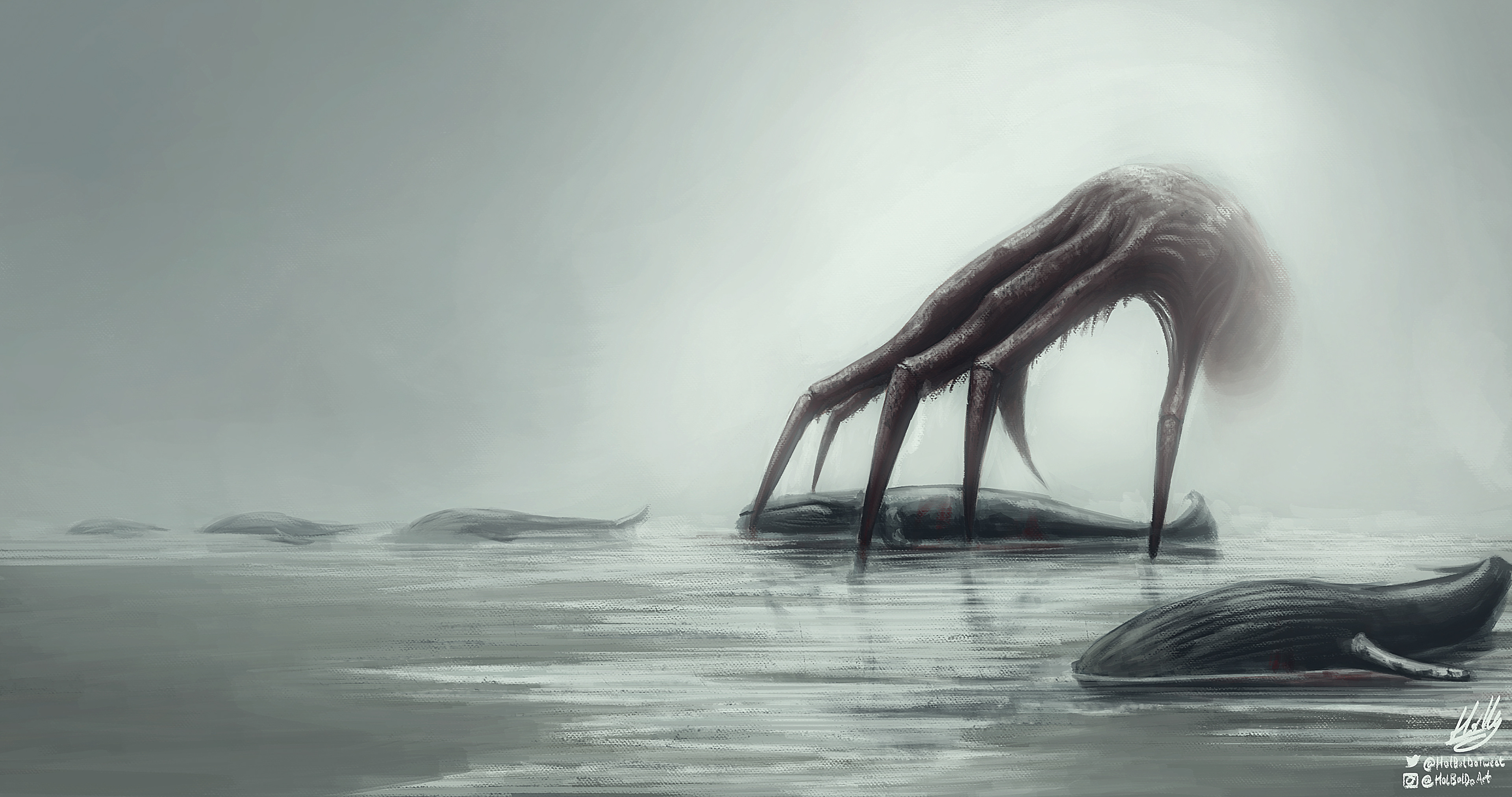 The Whale Catchers