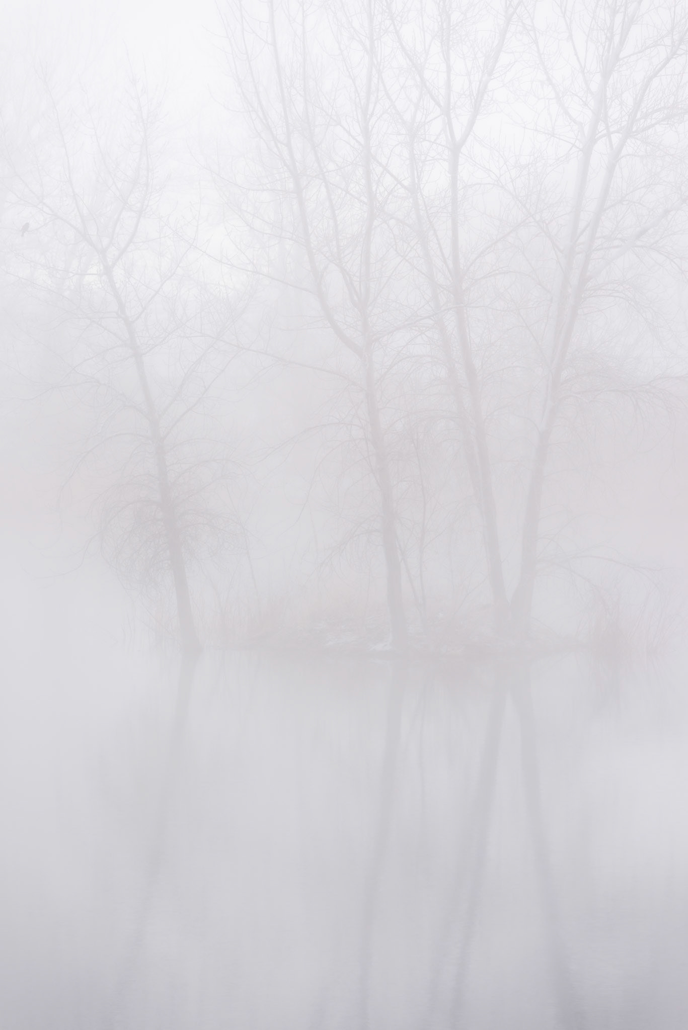 towers in the mIst