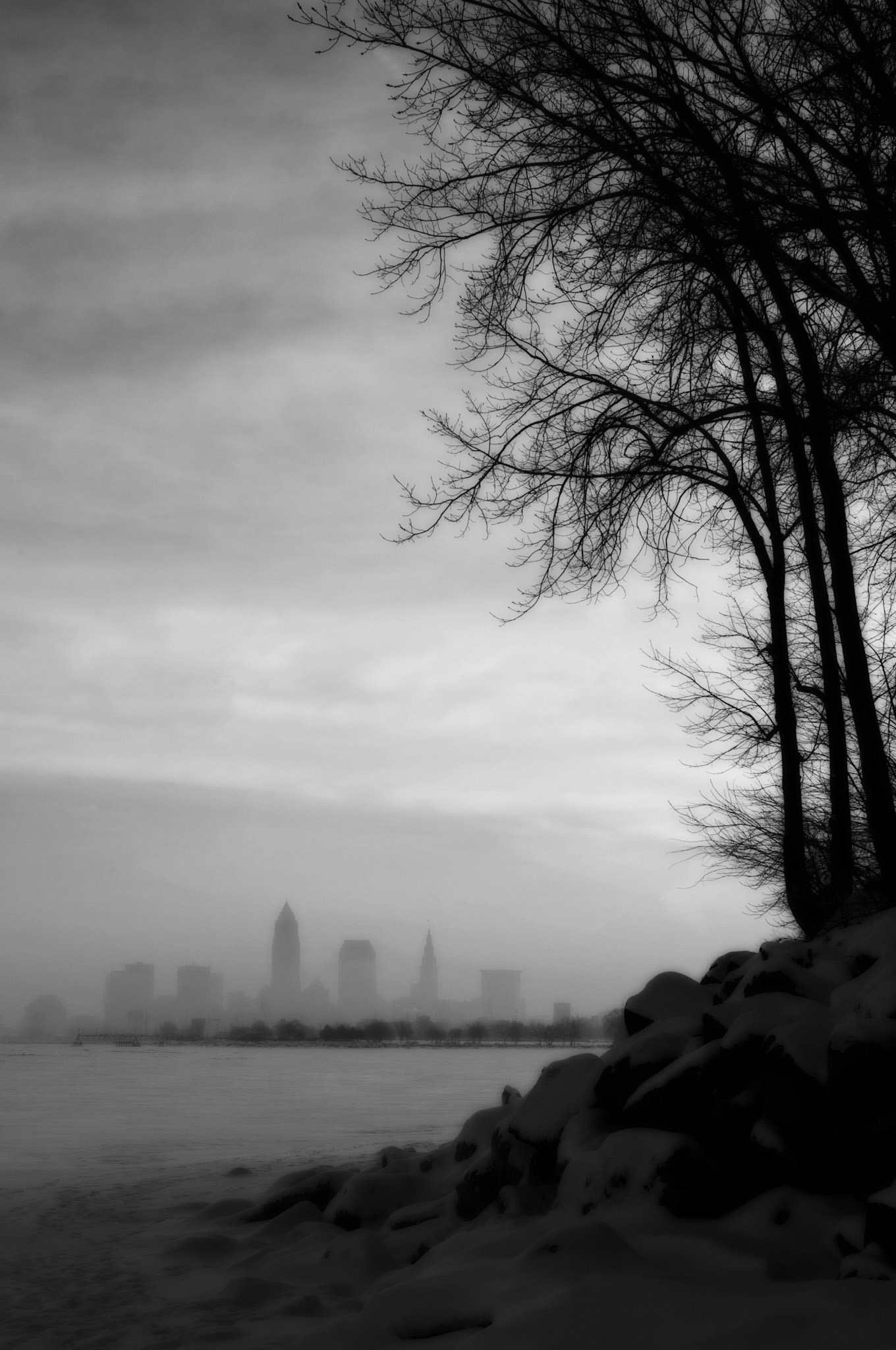 Snowy Morning Black and White