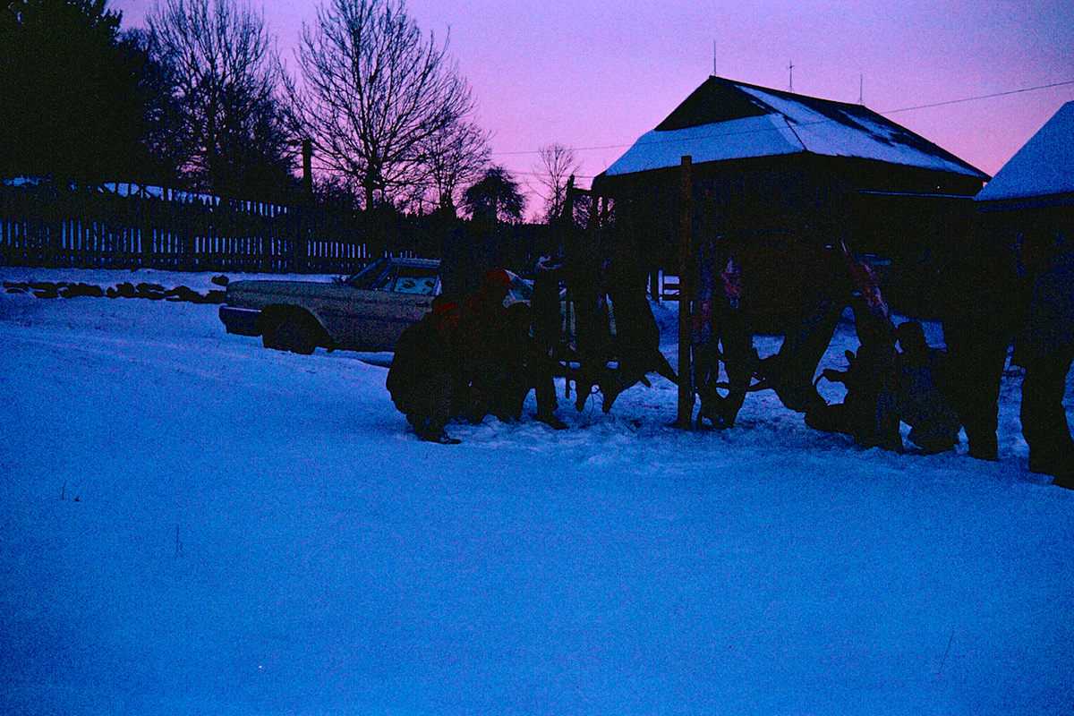 veryBarry 196? Hunting Slides