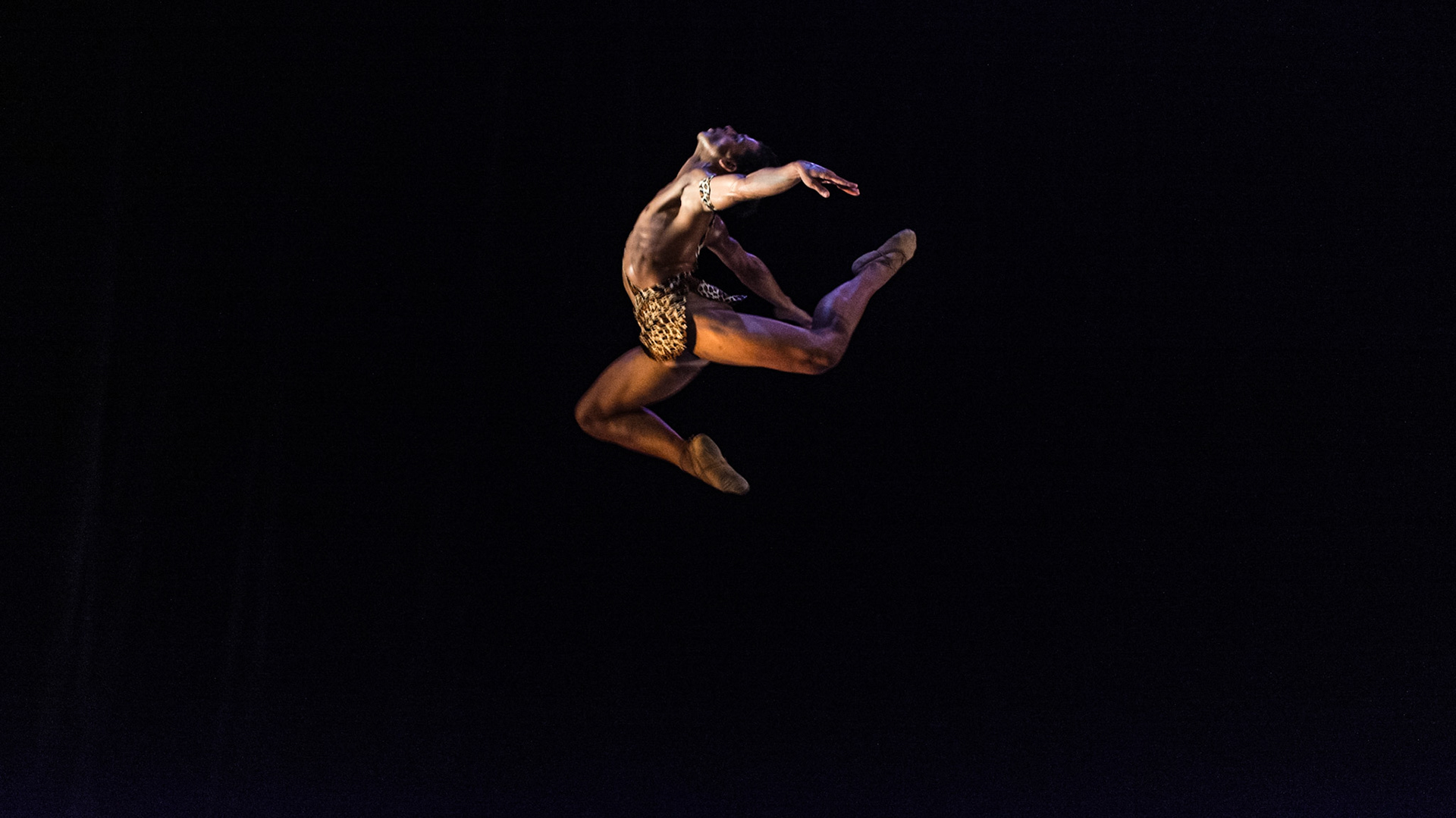 Prodanza Ballet Academy (2017)