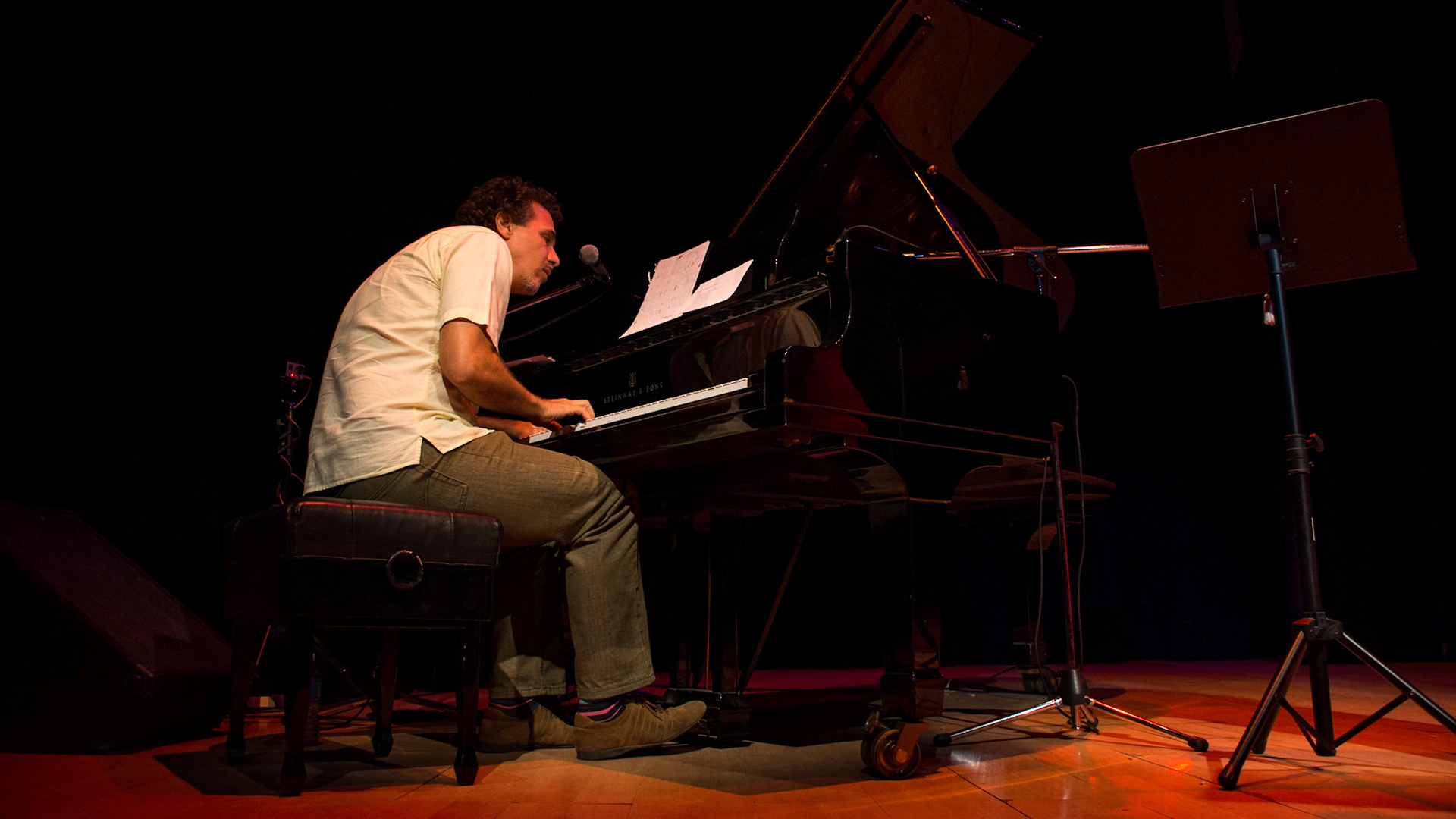 Bobby Carcasses Concert at Museum of Fine Arts