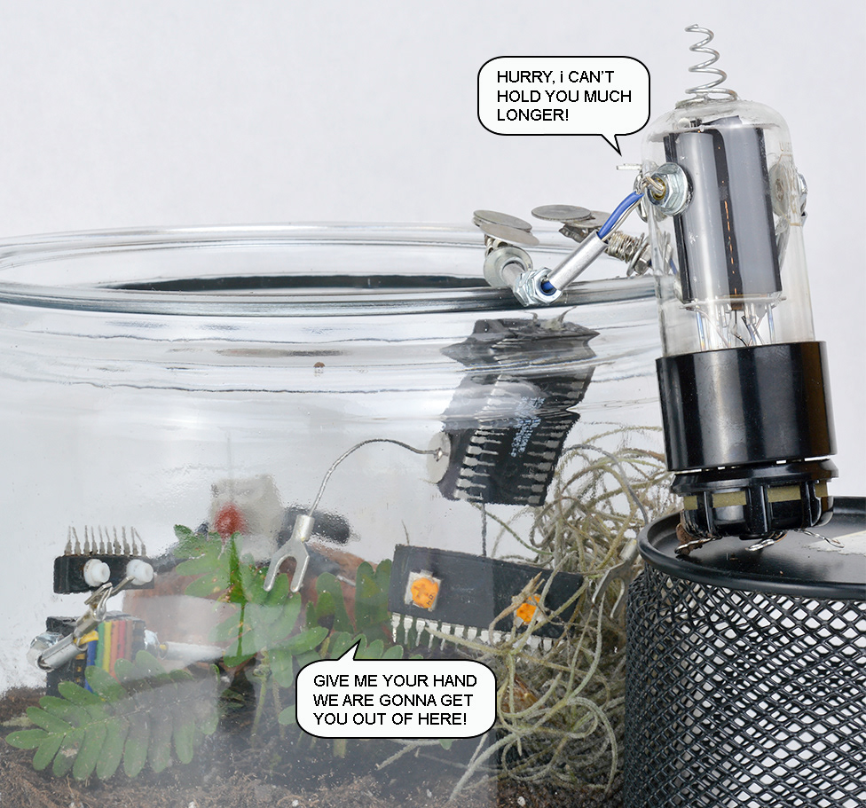 Escape from the terrarium