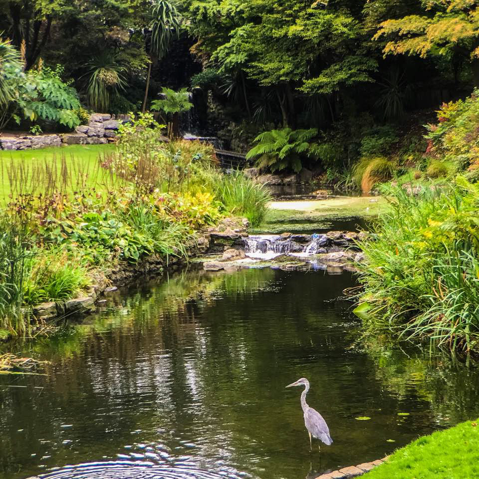 The Dell, Serpentine Lake