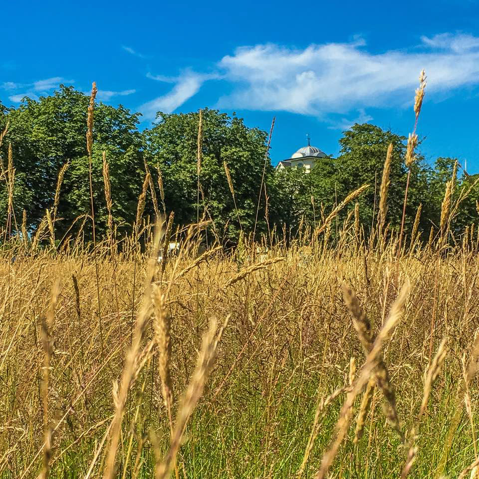 Wesleyan Chapel, Woodford Green