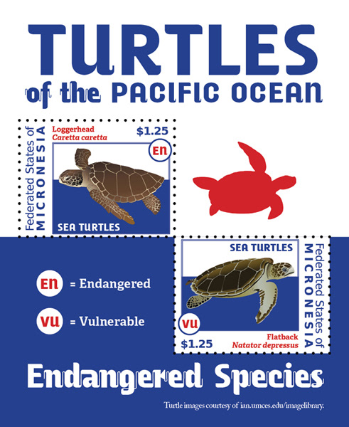 Turtles for Micronesia