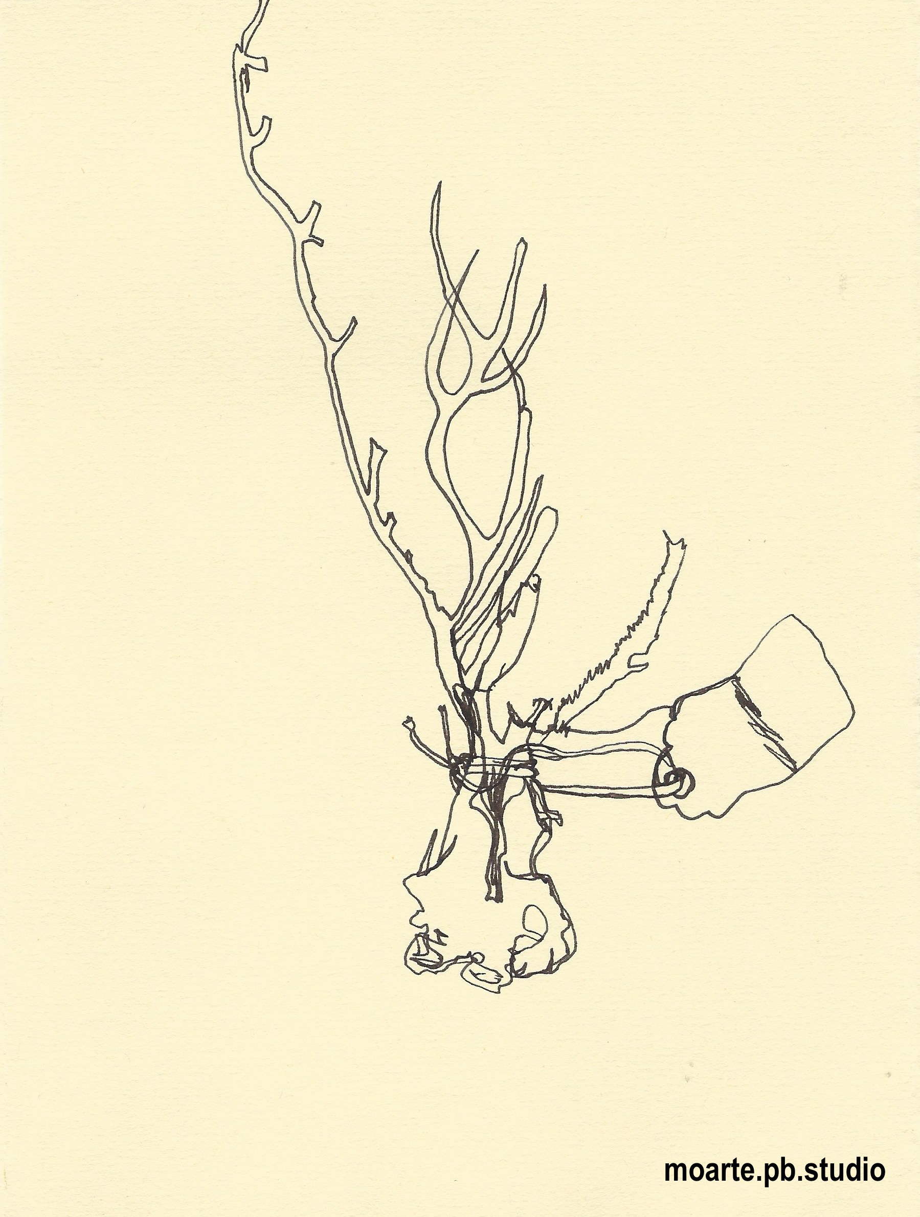 Close Observation 1 (Pen)