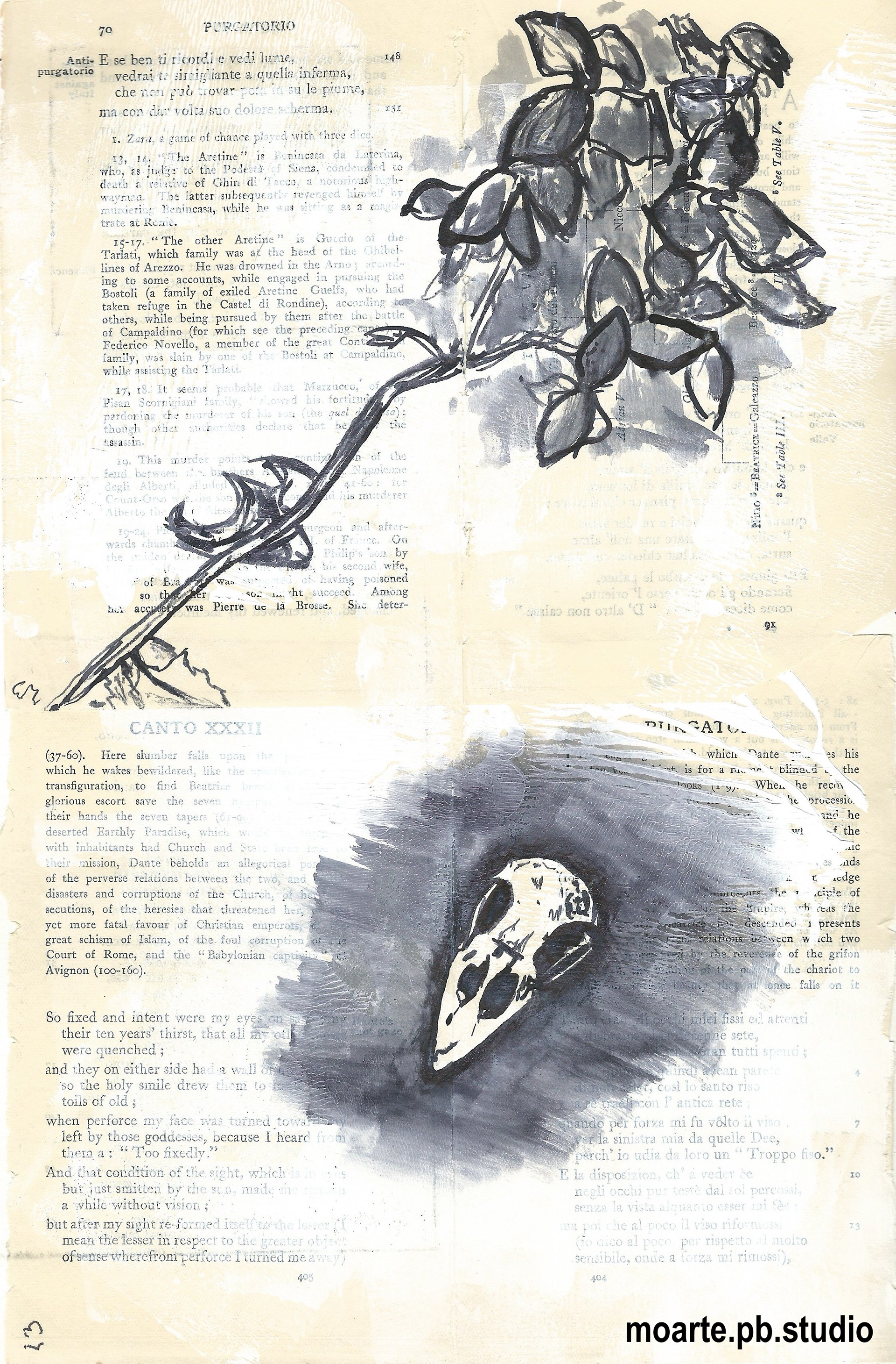 Close Observation 2 (Ink)