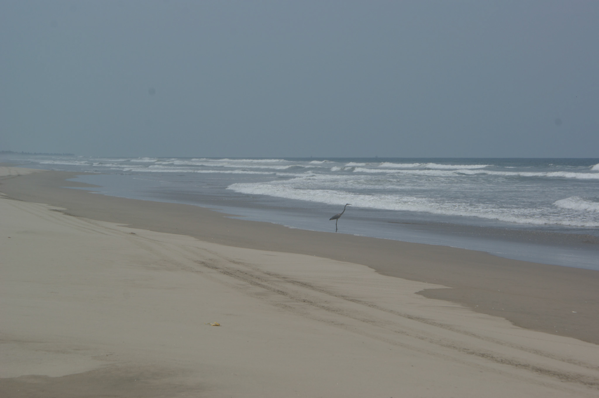 SONY DSC