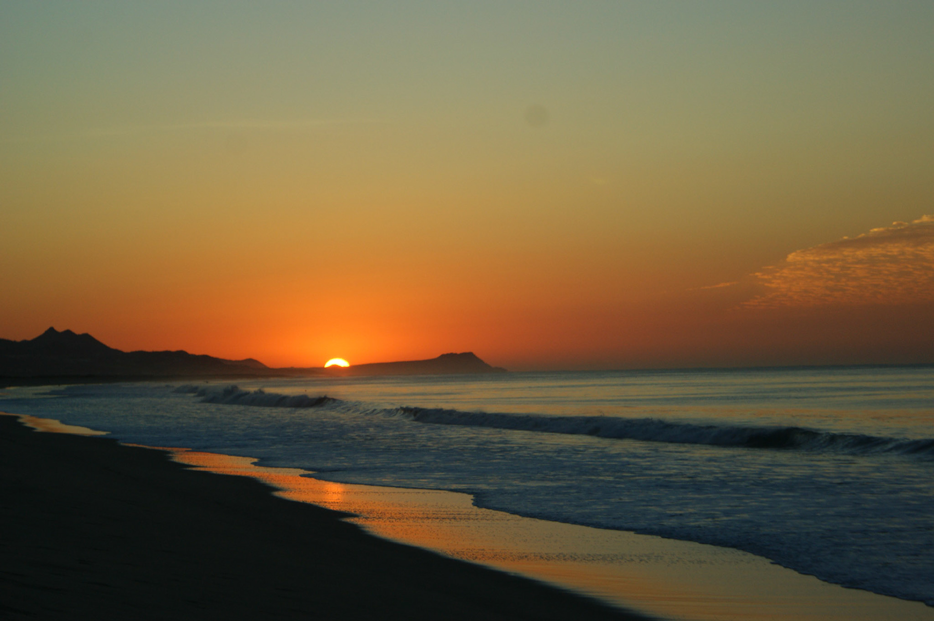 SONY DSC