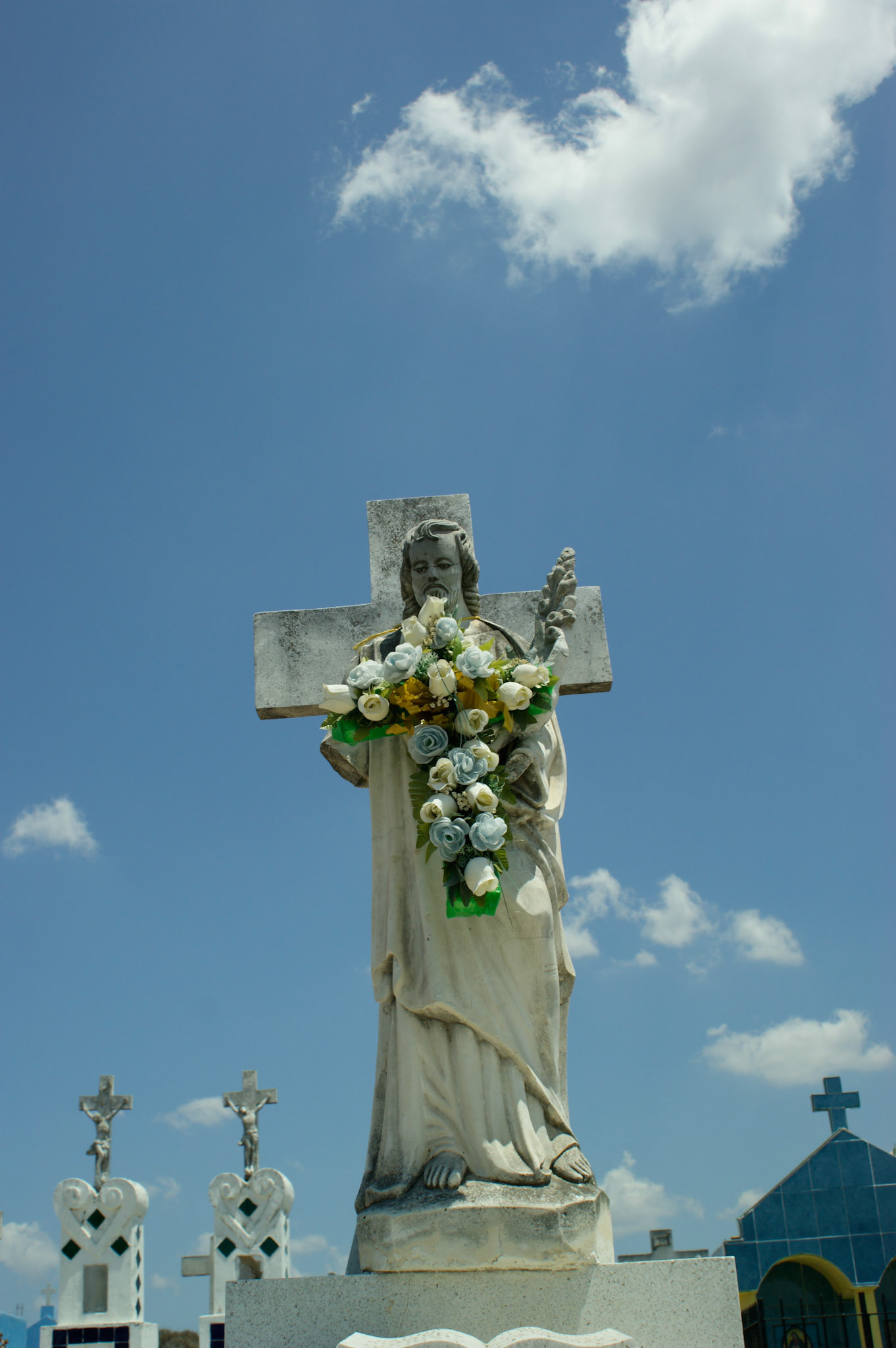SONY DSC