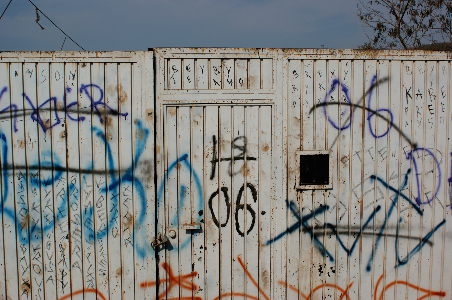 SONY DSC