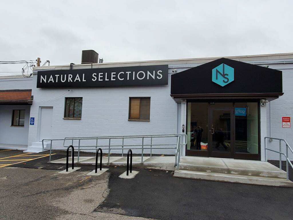 Natural Selections completed installation