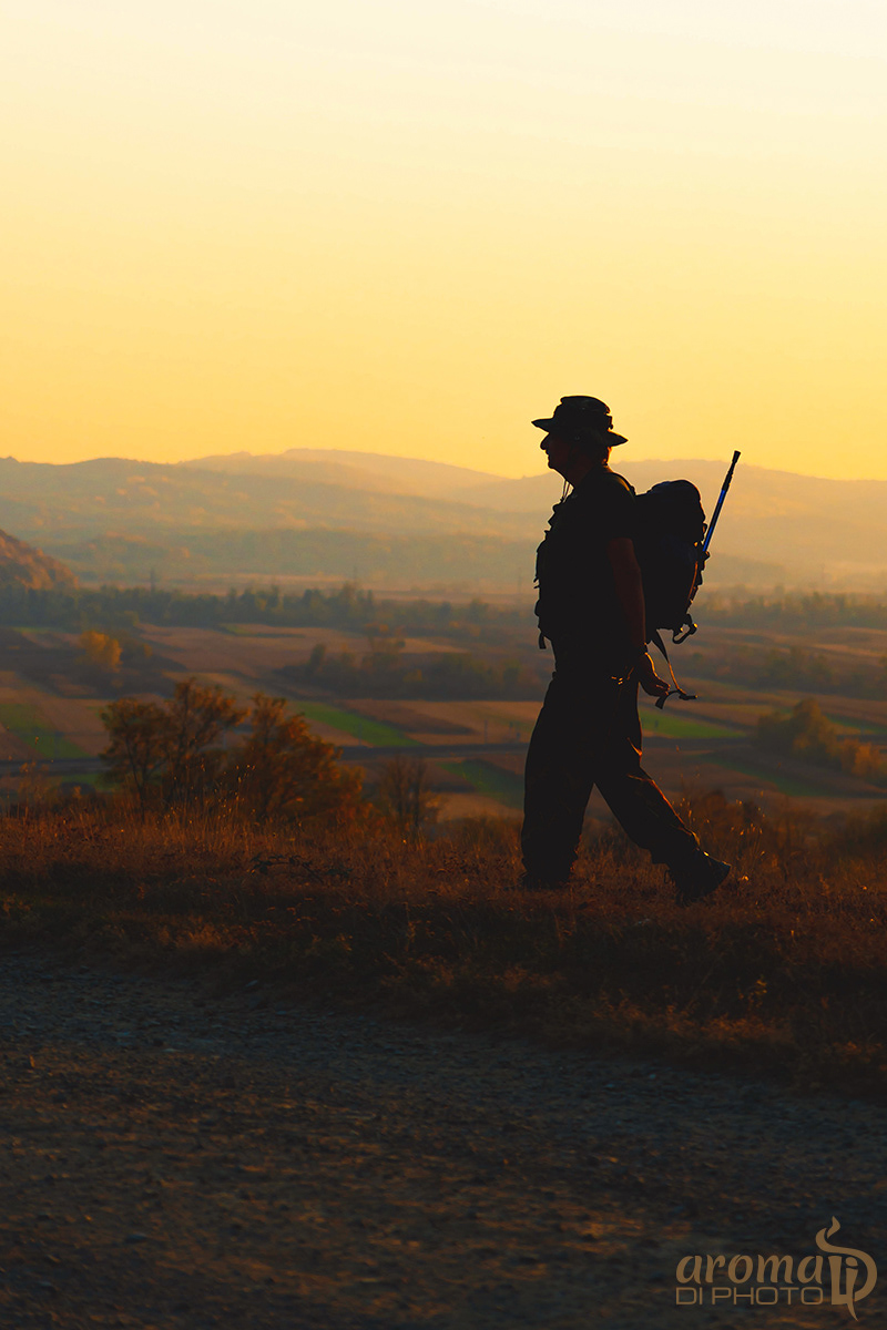 Traveler