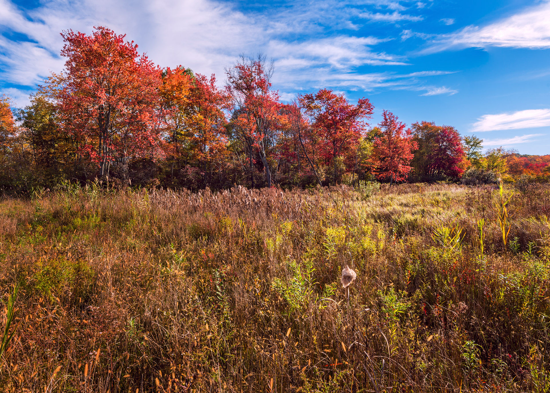 Mass State Parks DCR 1026