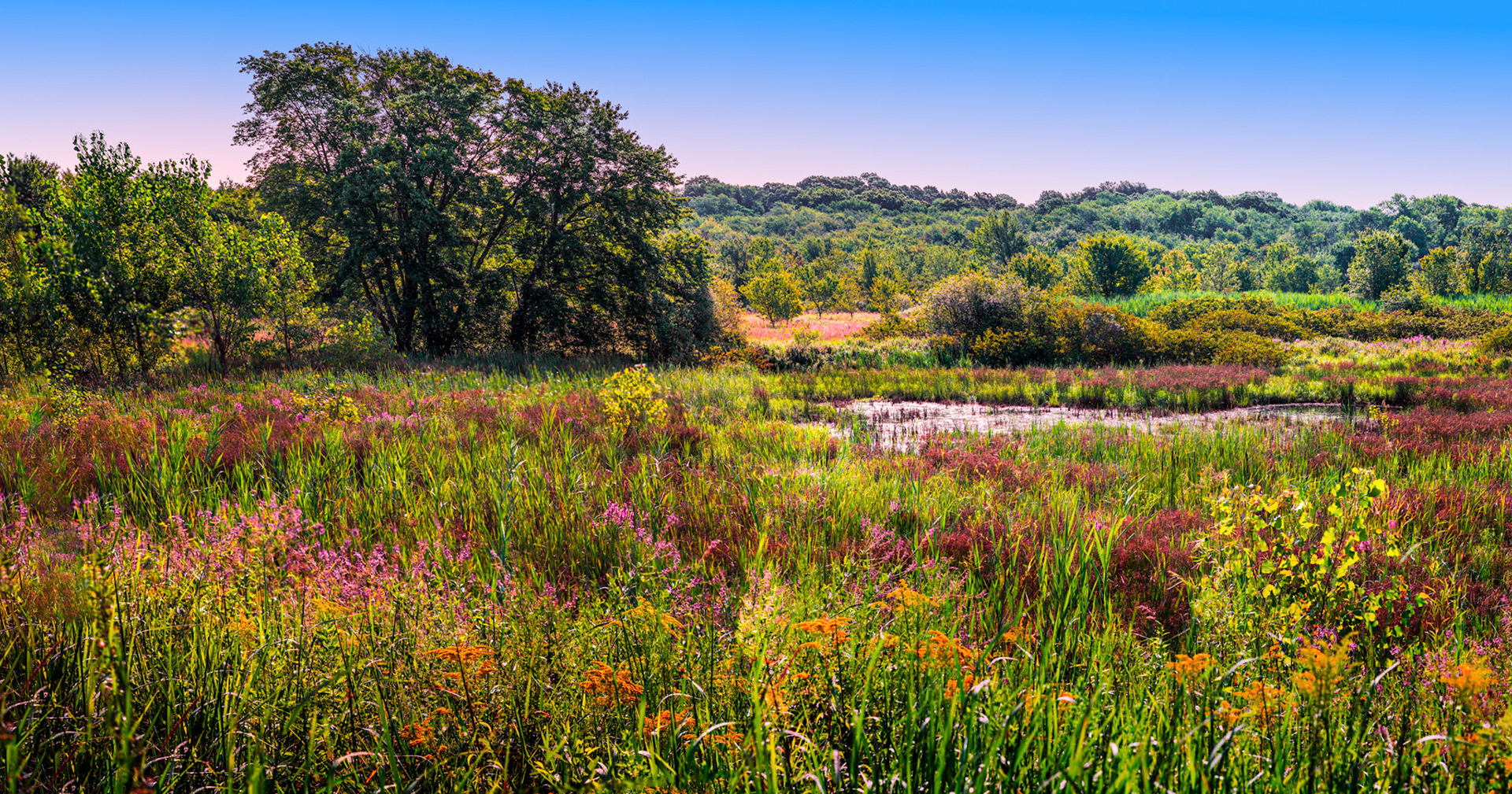 Mass State Parks DCR 106