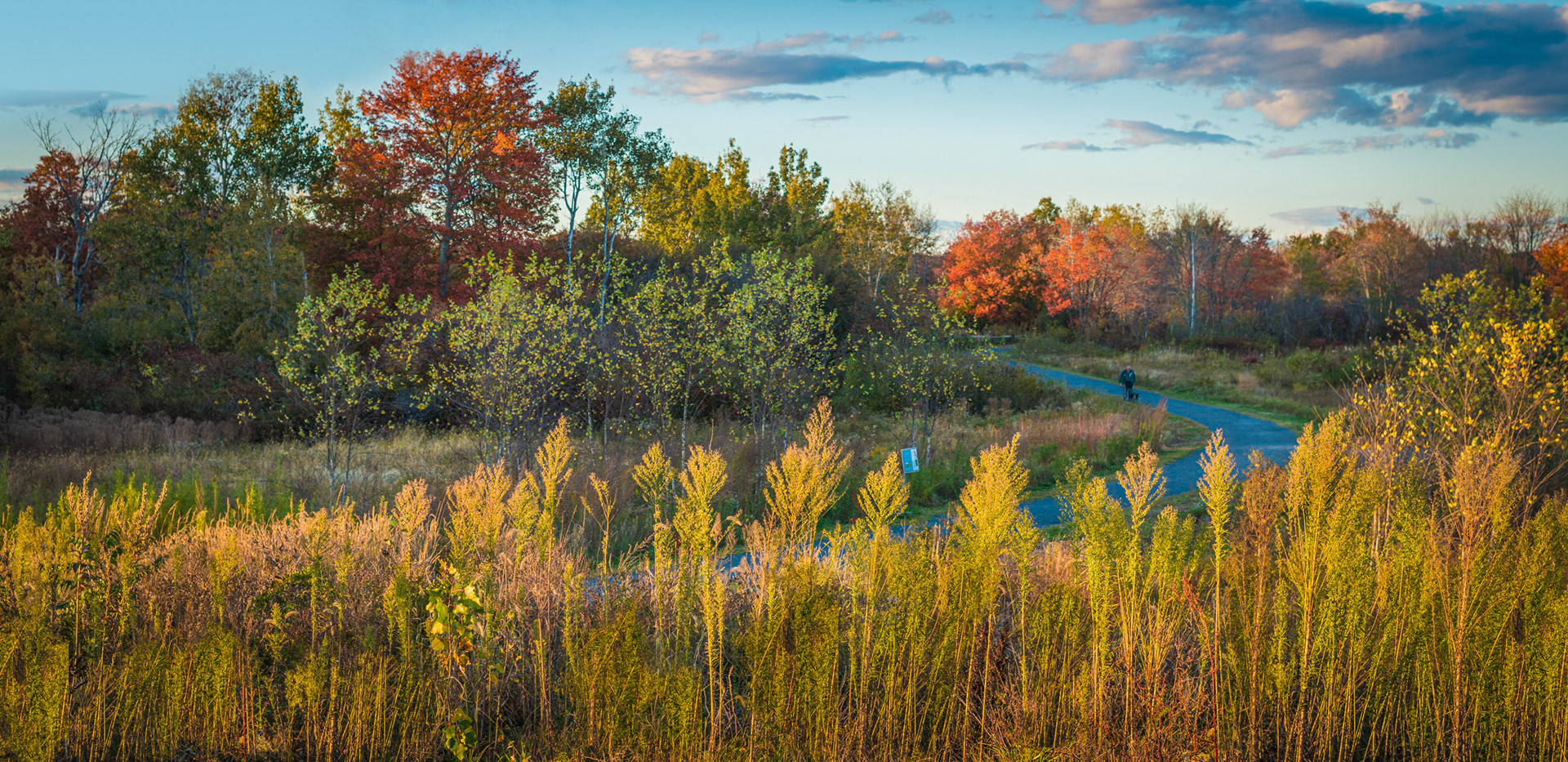 Mass State Parks DCR 103