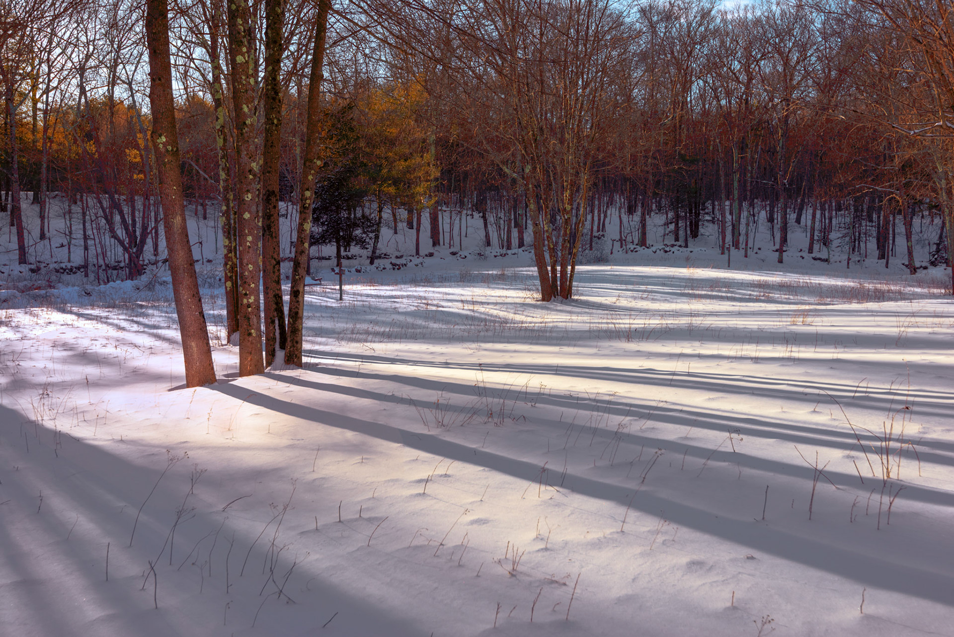 Mass Audubon Moosehill 03