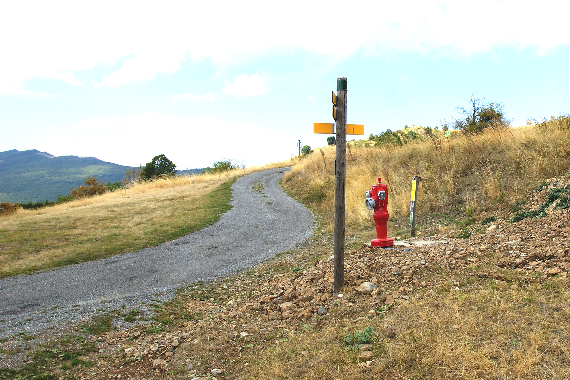 Terrain communal dans la boucle du chemin départemental n°17