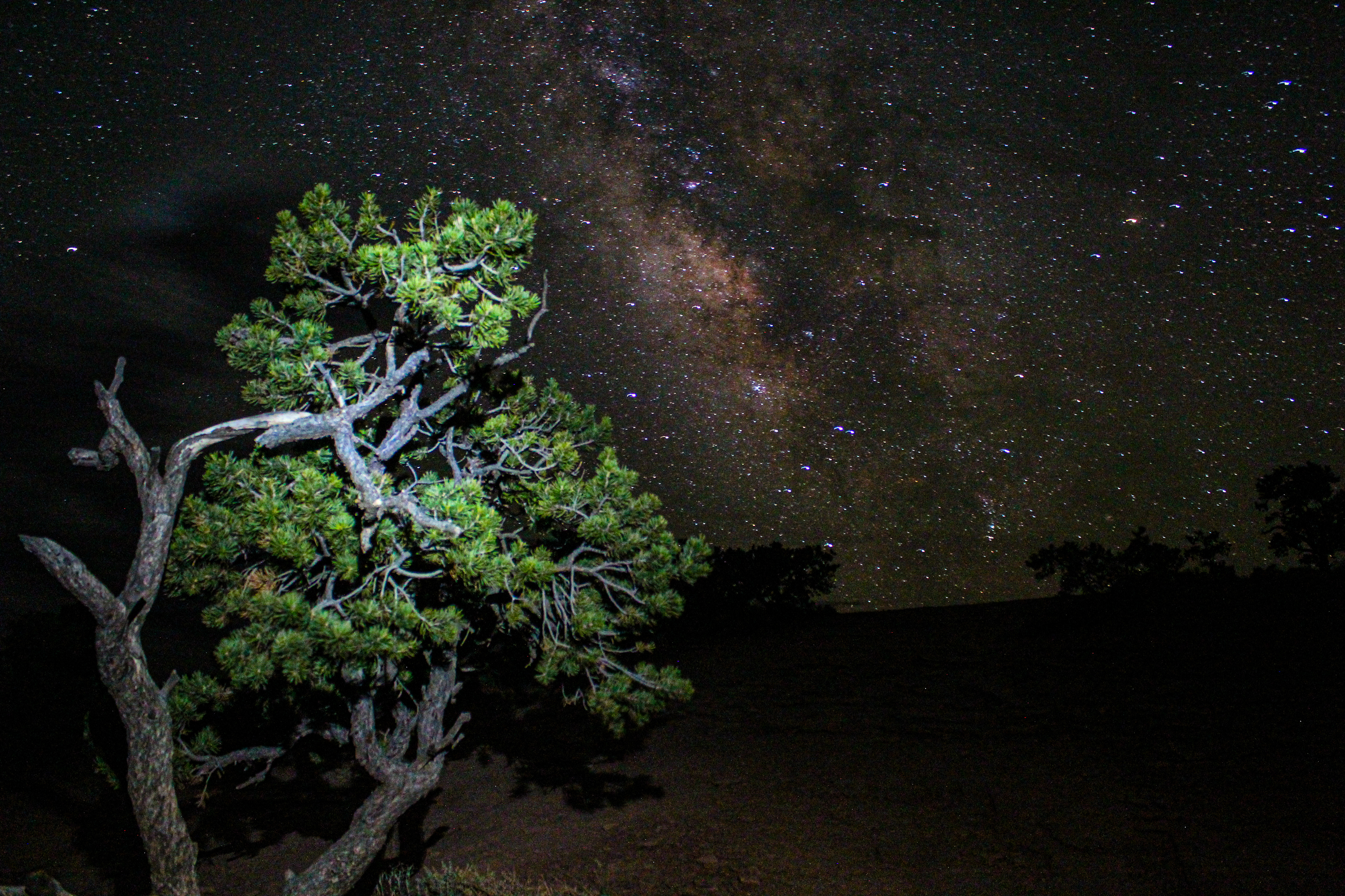 The sky is half the park at Capitol Reef NPS