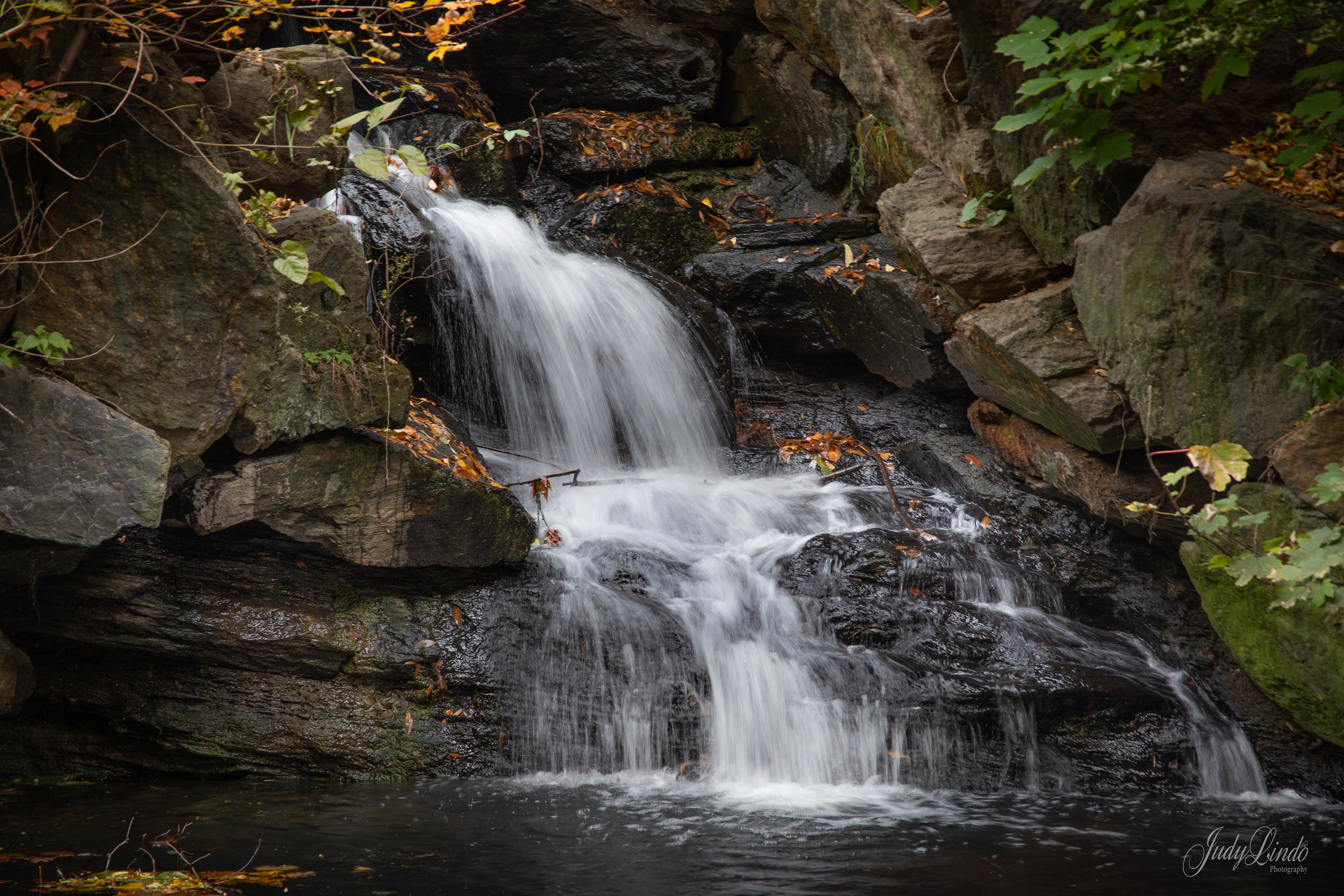 Central Park - Glen Span Arch