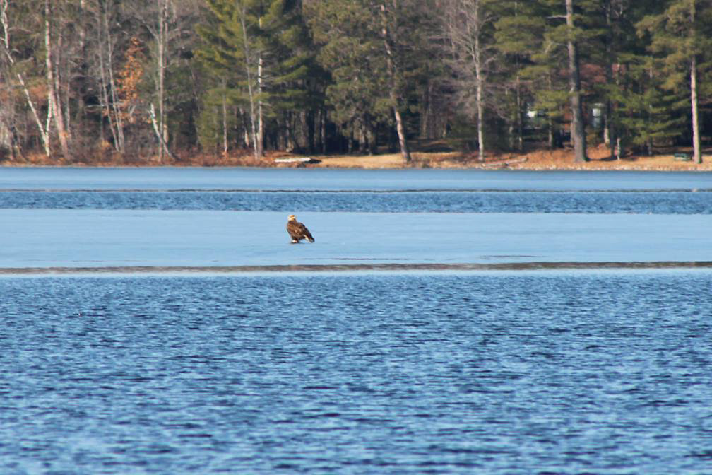 April 2015 Tee Lake Resort