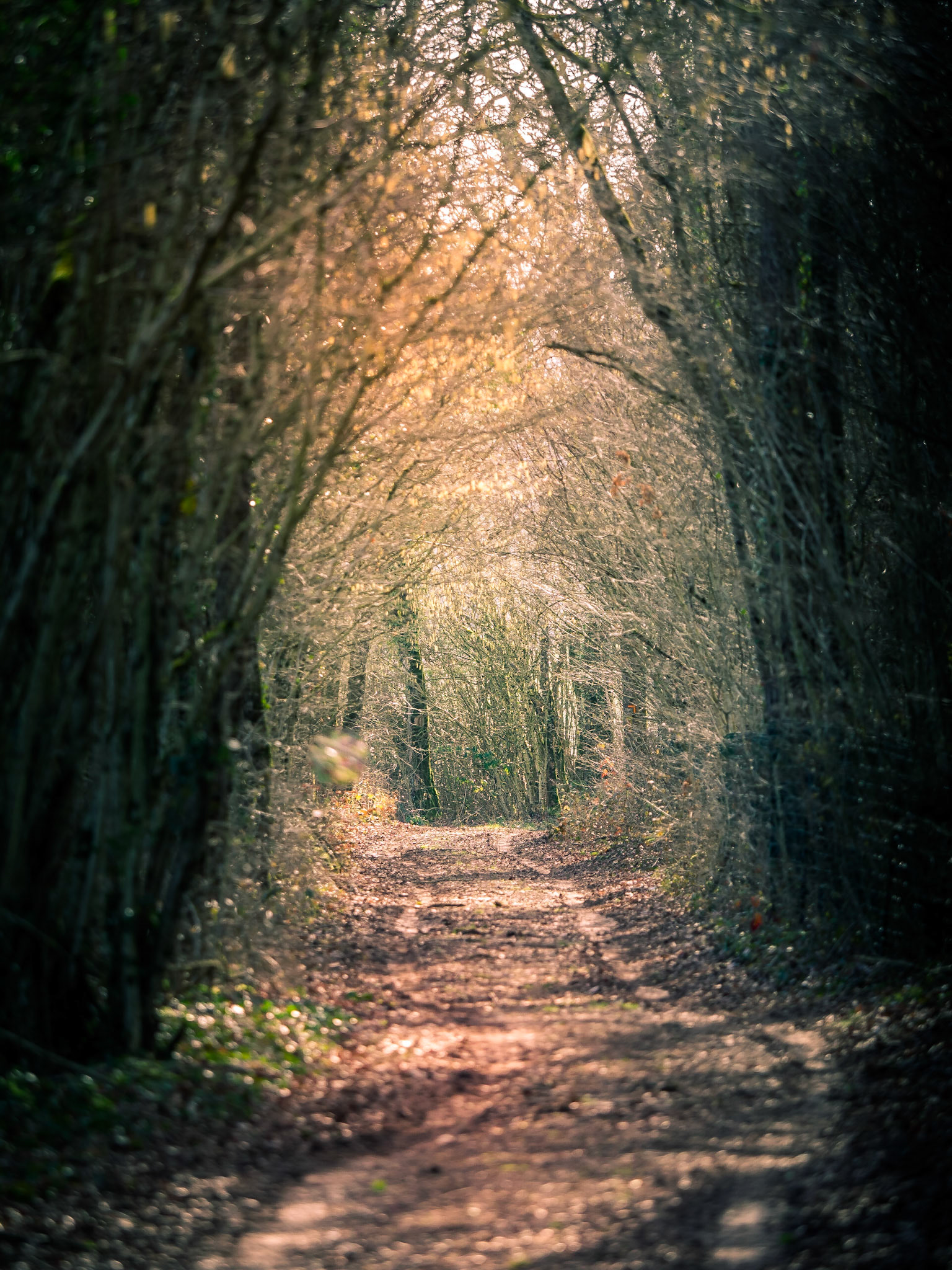 Chemin caché
