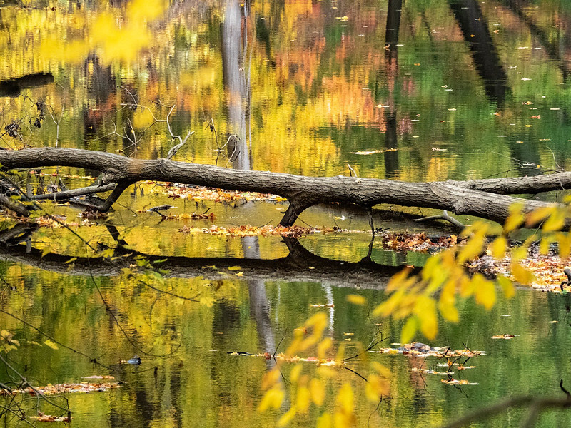 OM-D EM5 II