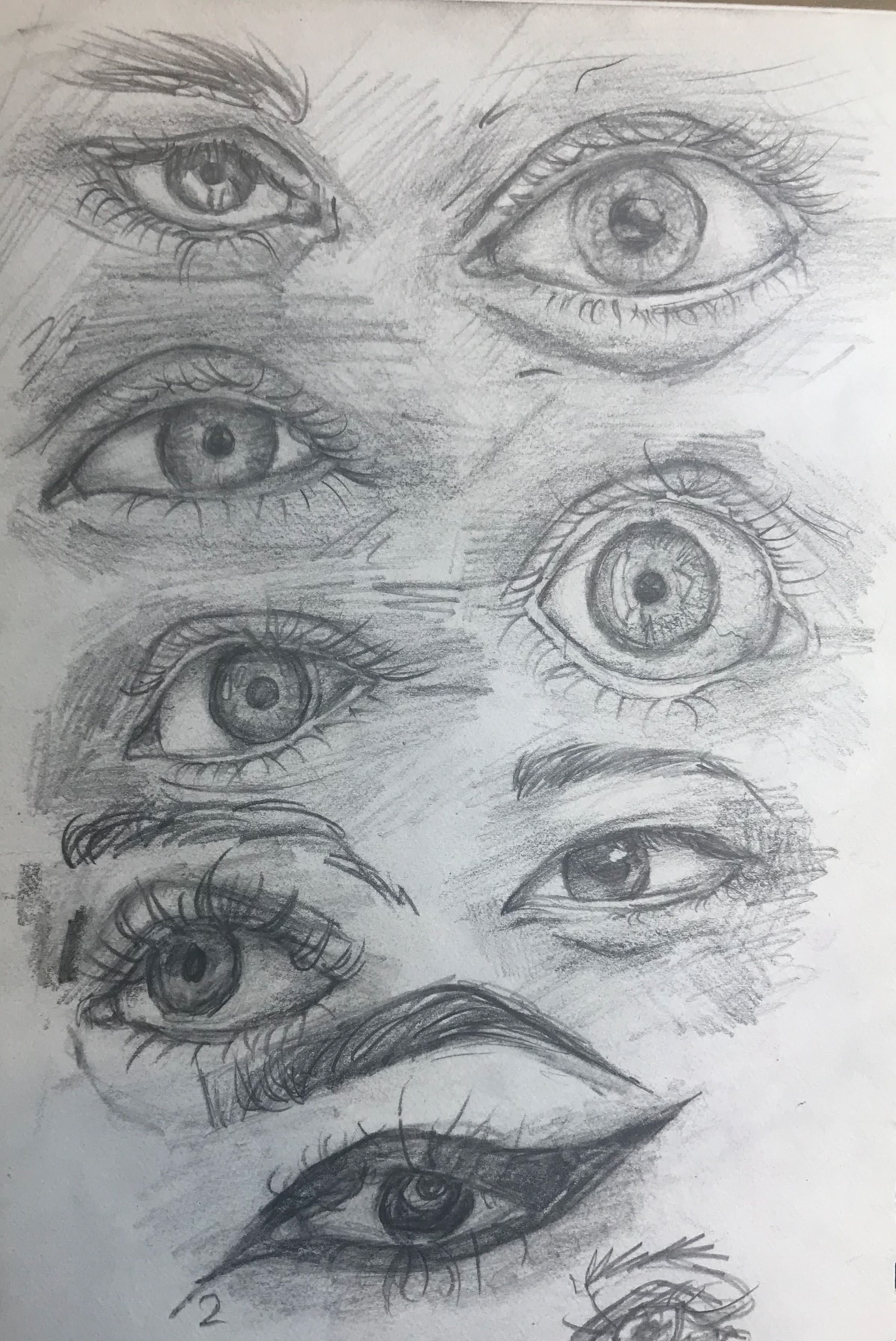 Eyes - Human Anatomy Drawing