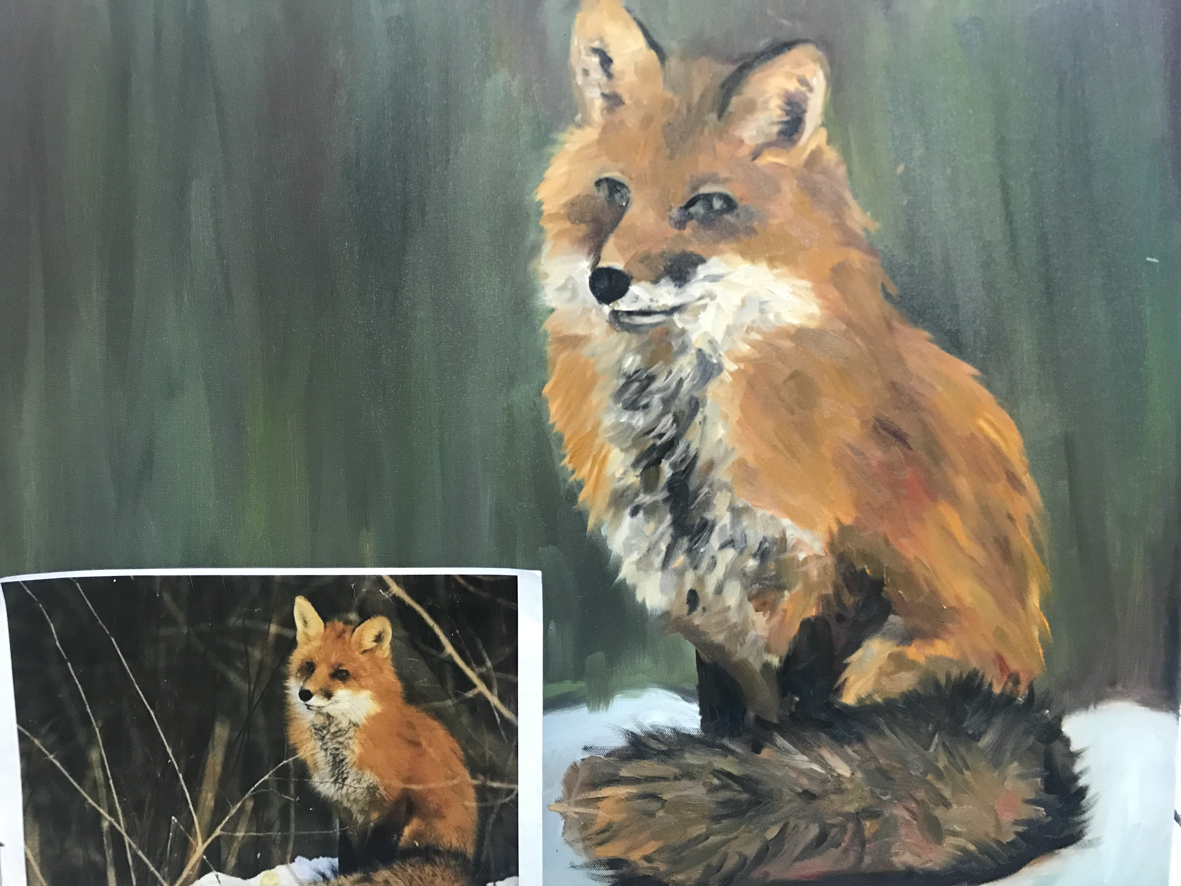Sitting Fox