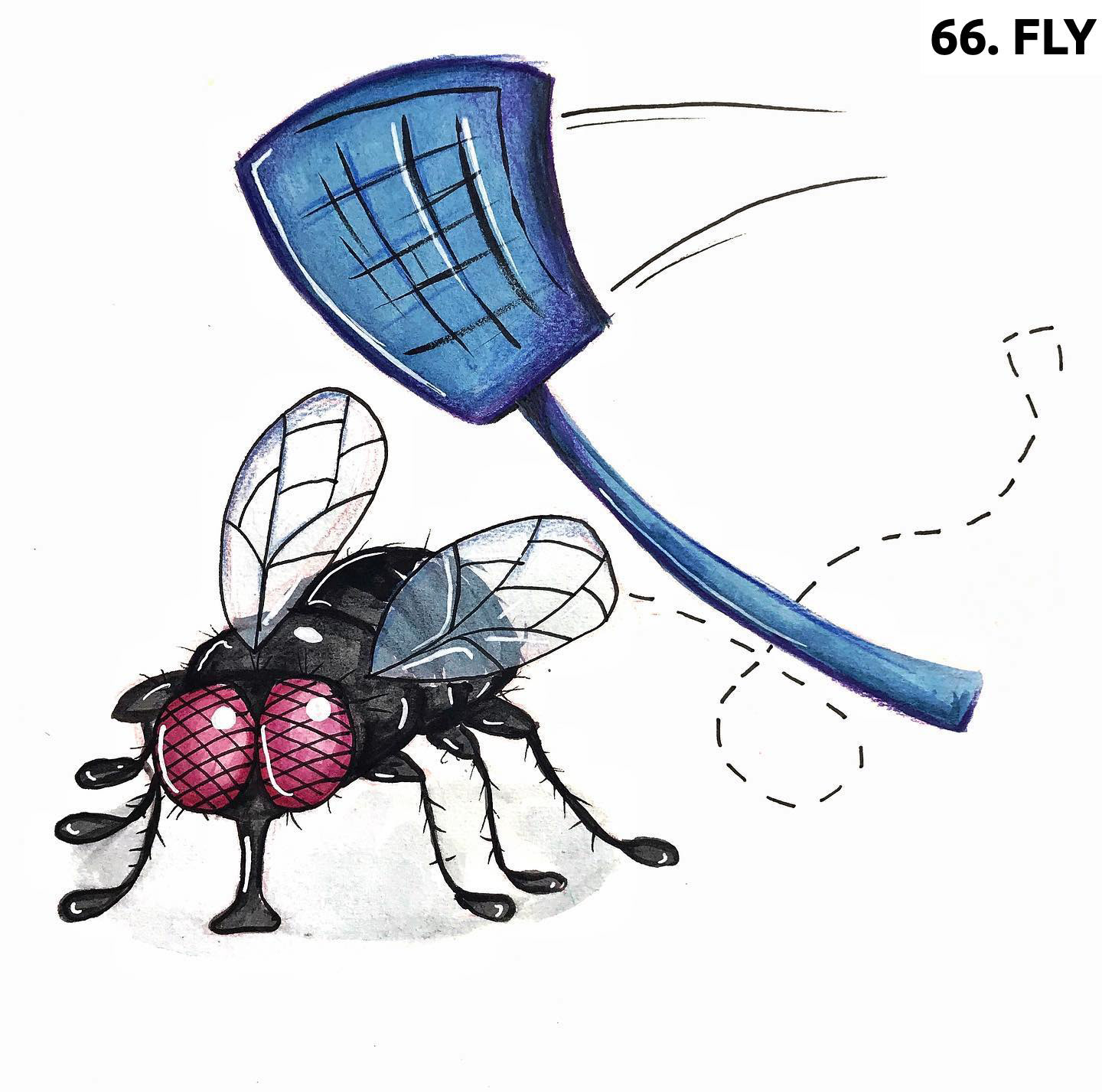 Fly