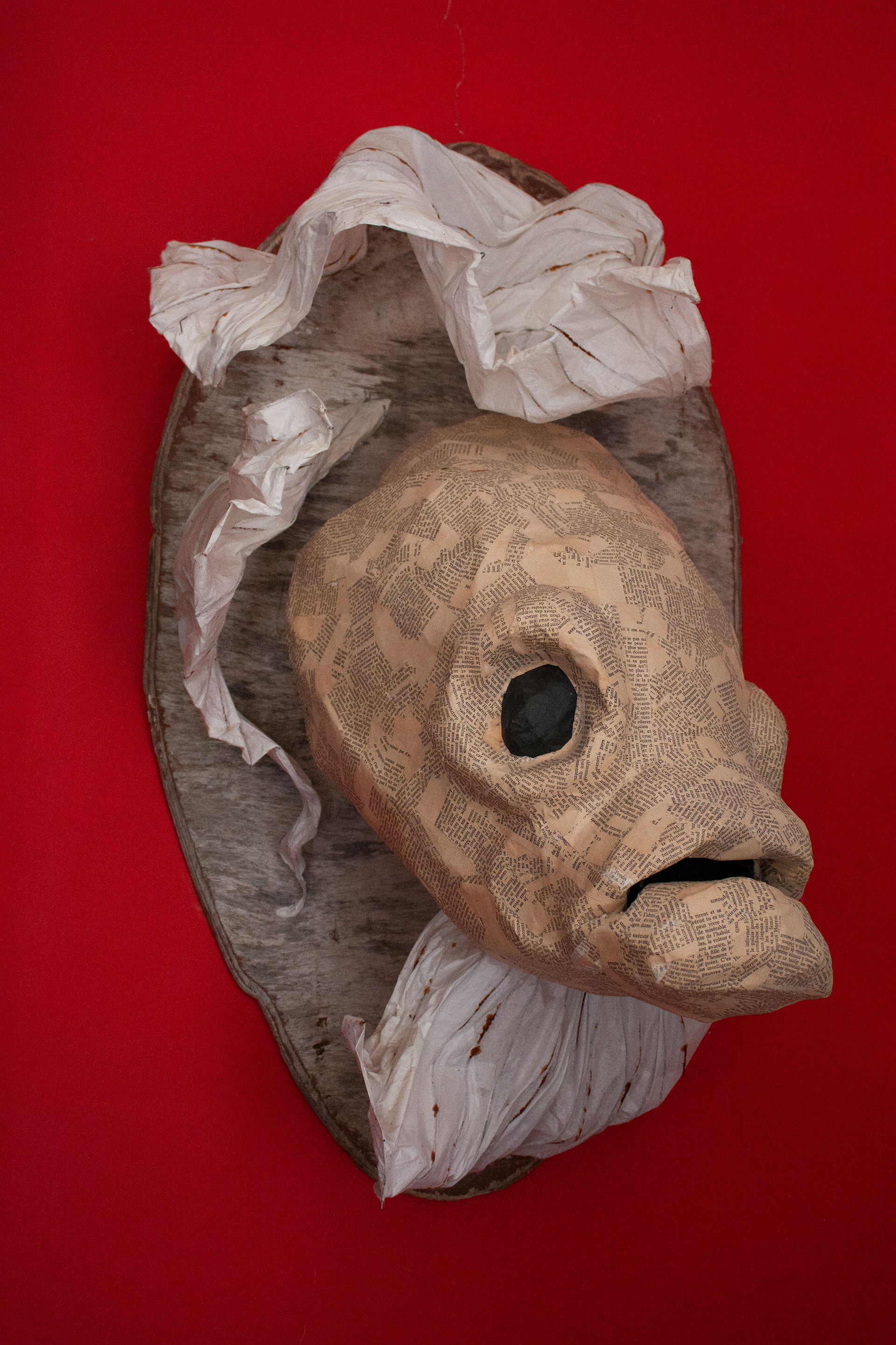 Le poisson, 120cm / 55 cm