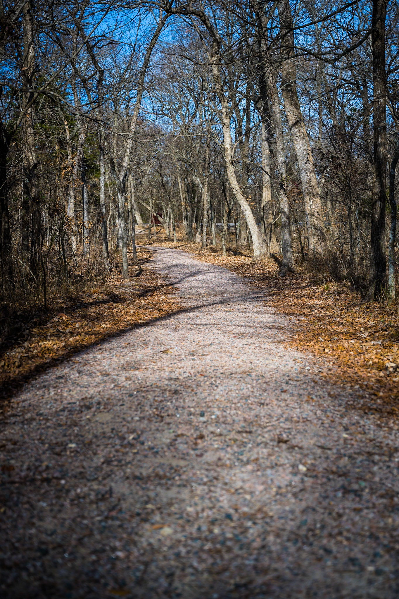 Big Thicket National Preserve