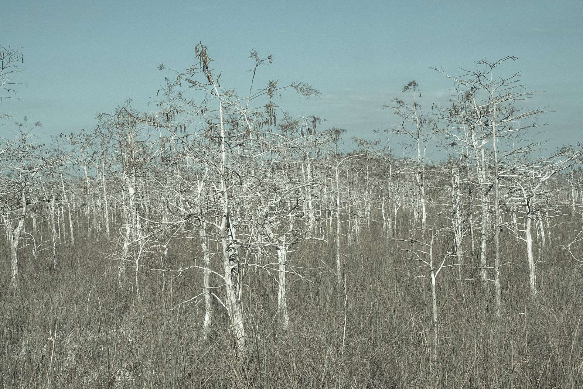Everglades National Park