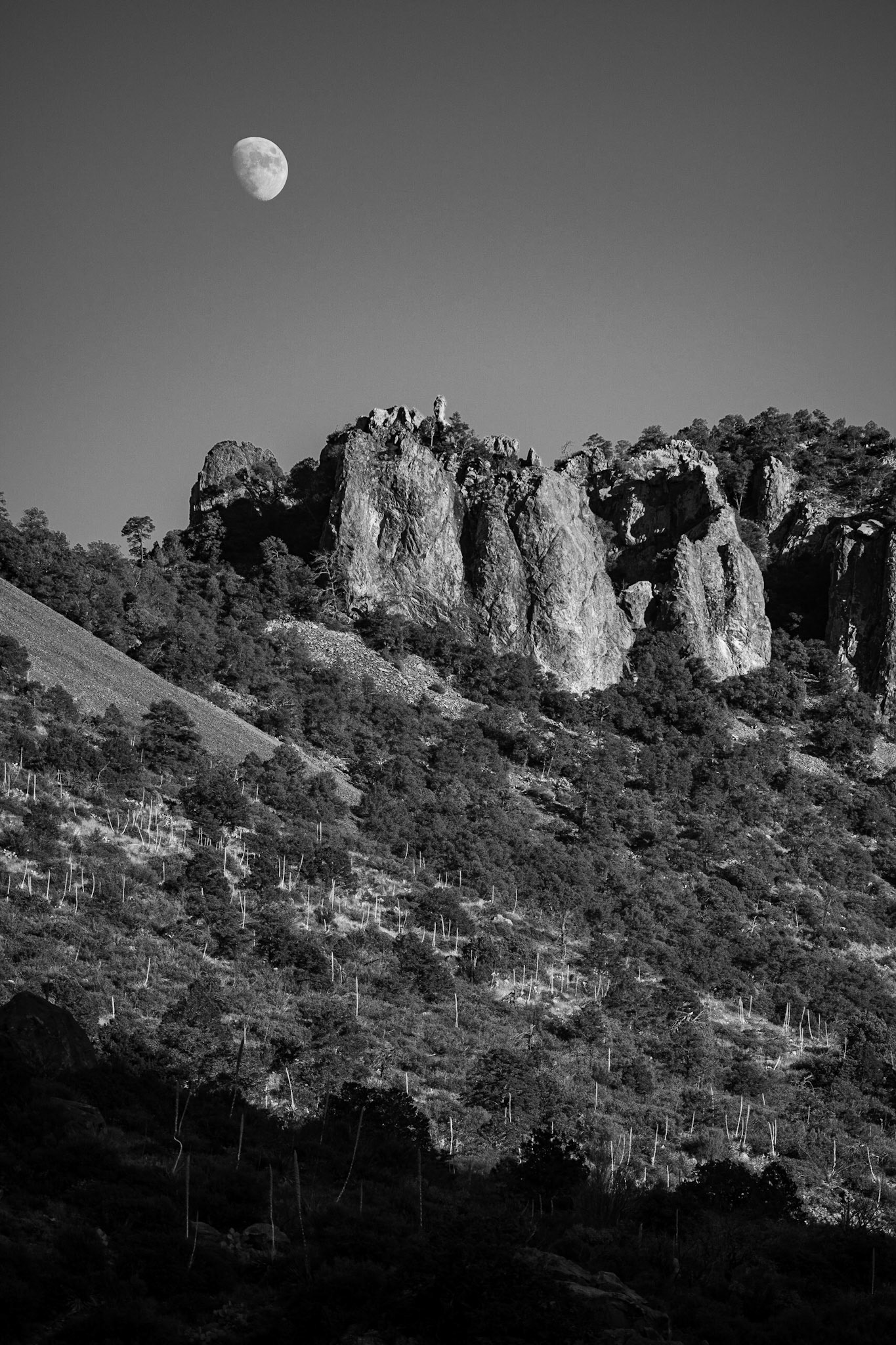 Big Bend National Park