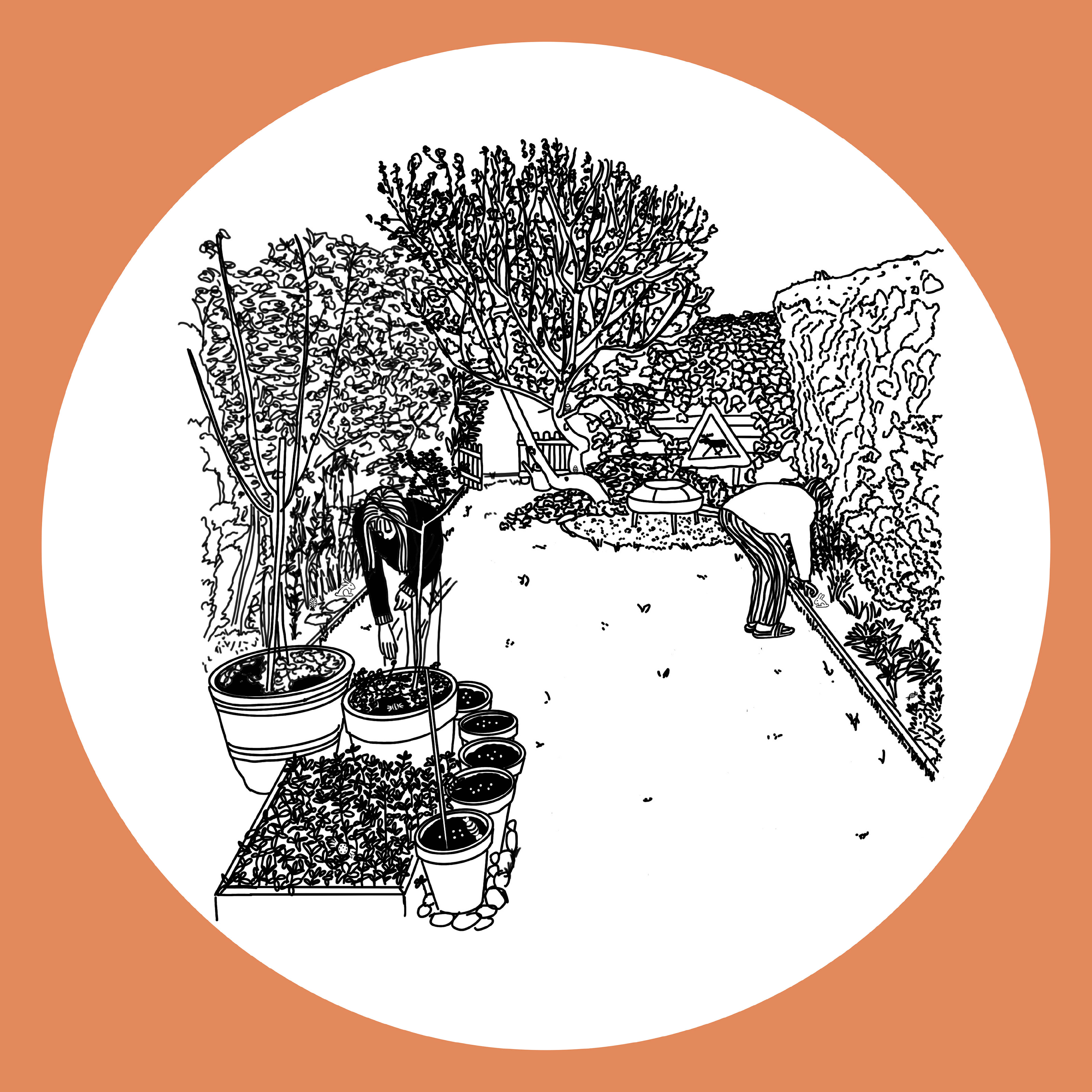 Day 14: Yesterday my sister and I looked for Easter eggs in the garden. Can you find them?