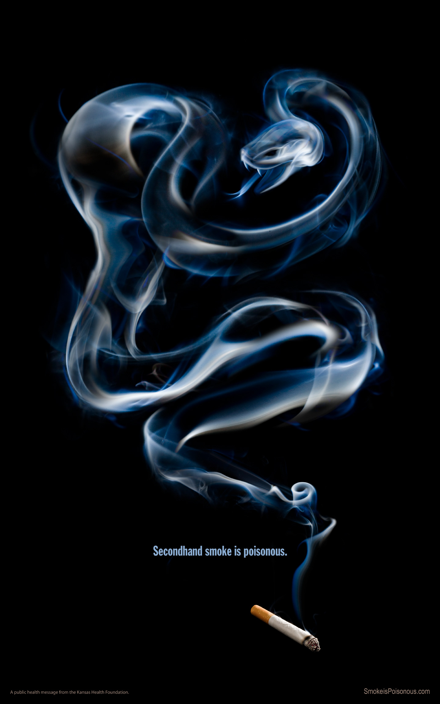 Smoke snake