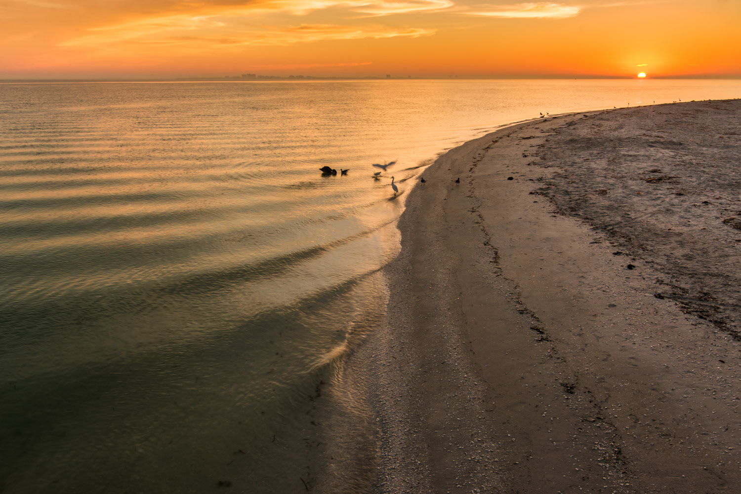 Sanibel