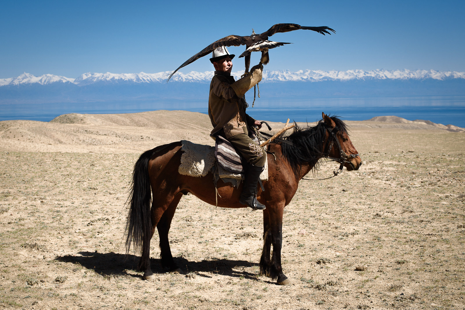 Issyk Kul, 12 h 04 – Kaderdin, fauconnier de 45 ans, perpétue la tradition de la chasse avec Sergak, un aigle de 4 ans. Il souhaite transmettre son savoir-faire à l’un de ses quatre fils. Un seul d’entre eux aura l’honneur et la lourde responsabilité de reprendre cet héritage.