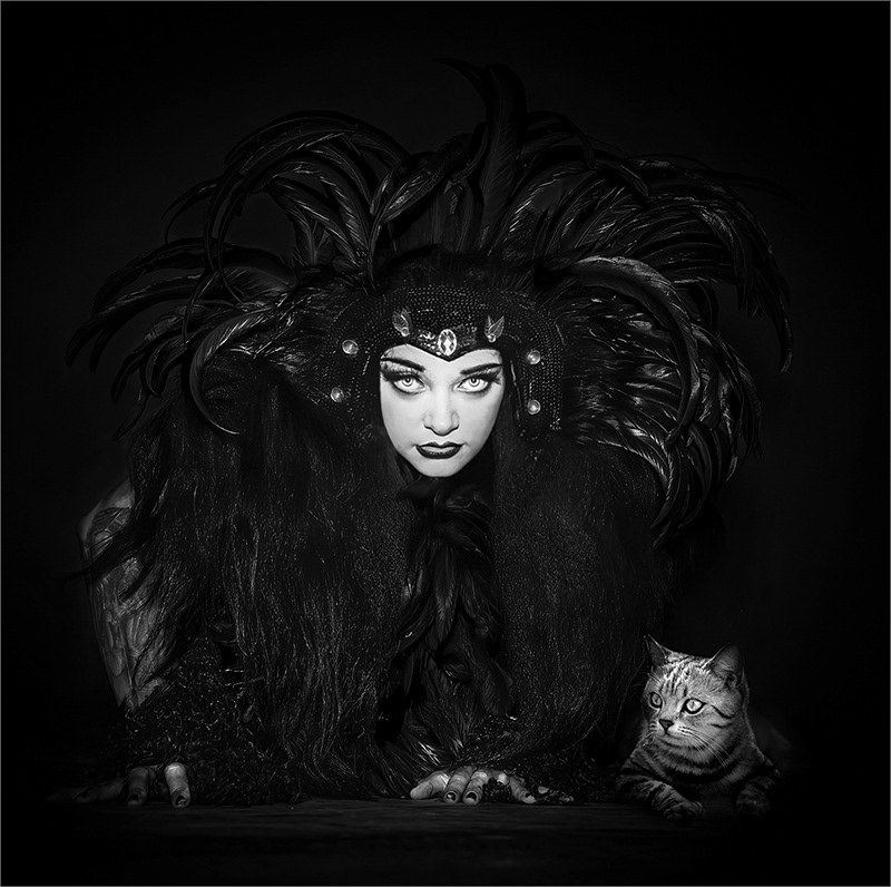 Fur and Feathers