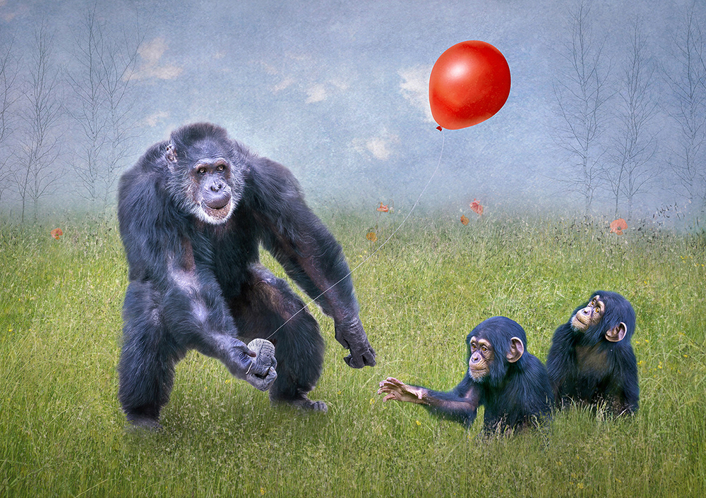 A Balloon for the Children