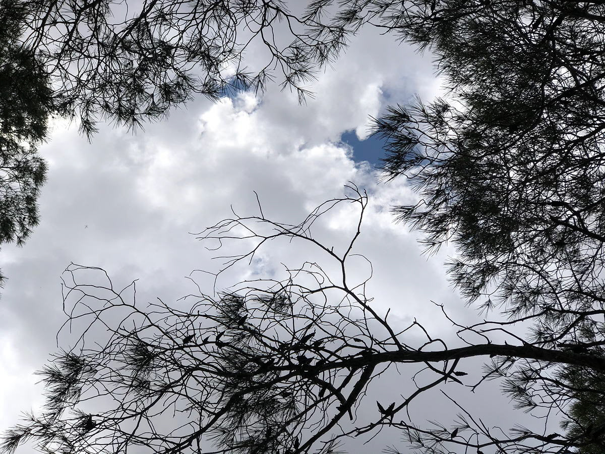 9-9. Cristina Vilar. Foto digital realizada con iPhone 8 plus sin editar.