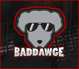 Cameron "BadDawGe" Holt's Portfolio Logo