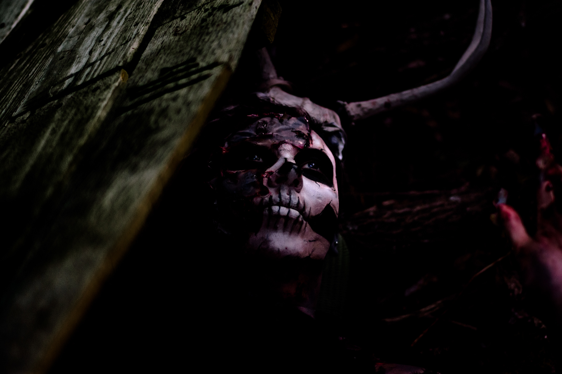 HMUA: Vampire Nomad Palette - Model: Meagan Sara - Set Decorator Gillian Was