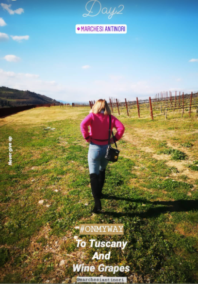In the vineyard